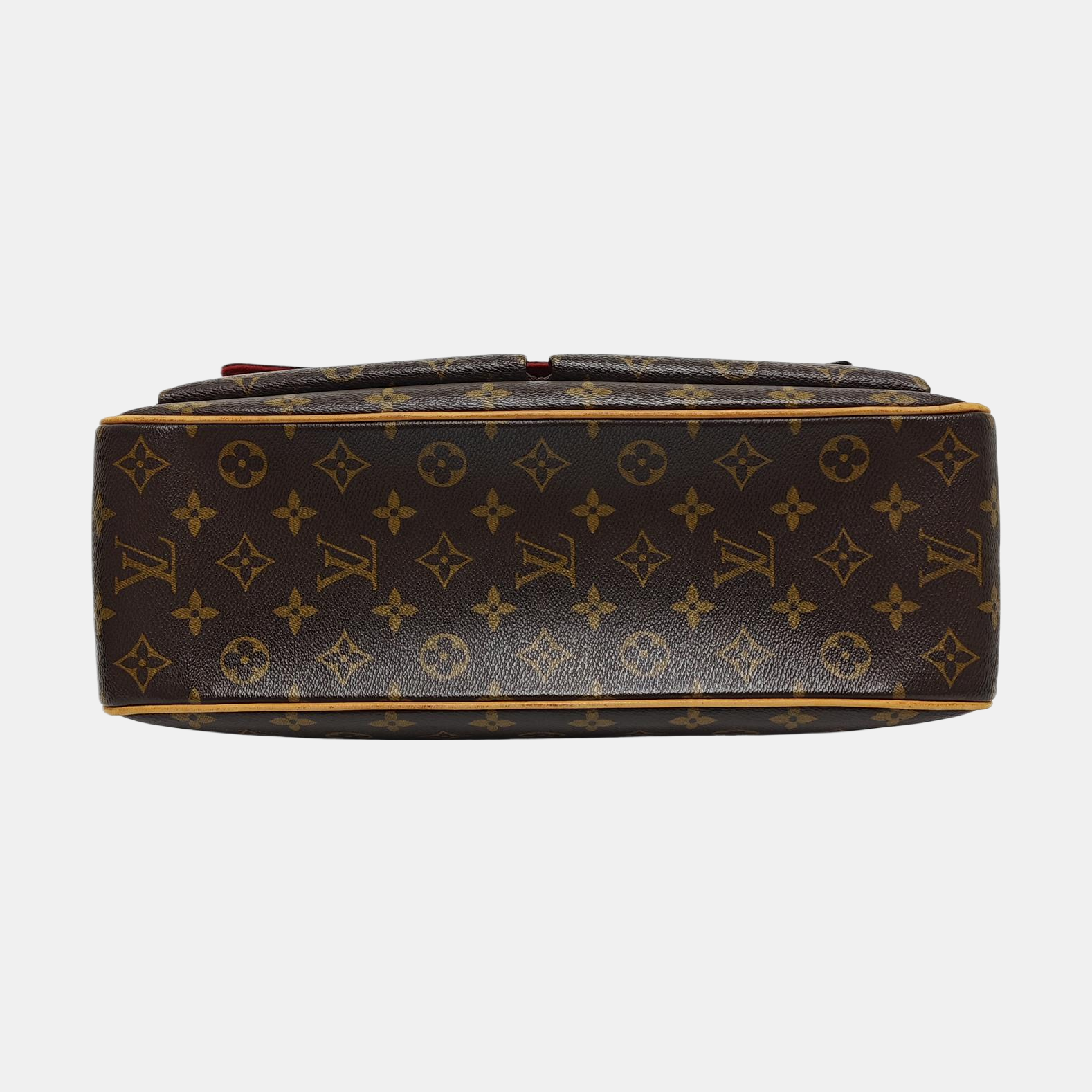 MULTIPLE Monogram Coated Canvas Brown