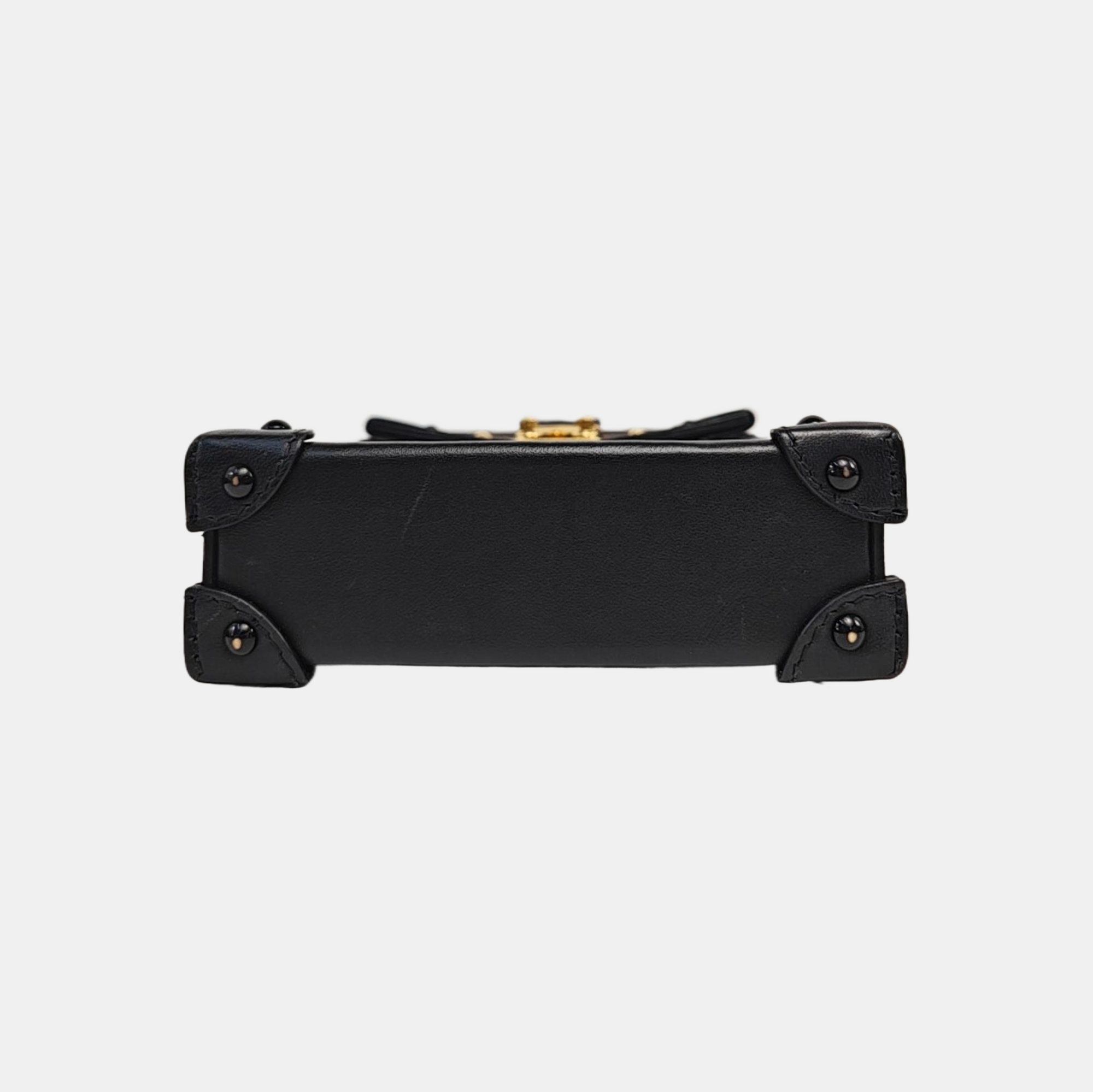 TRUNK Monogram Coated Canvas Brown