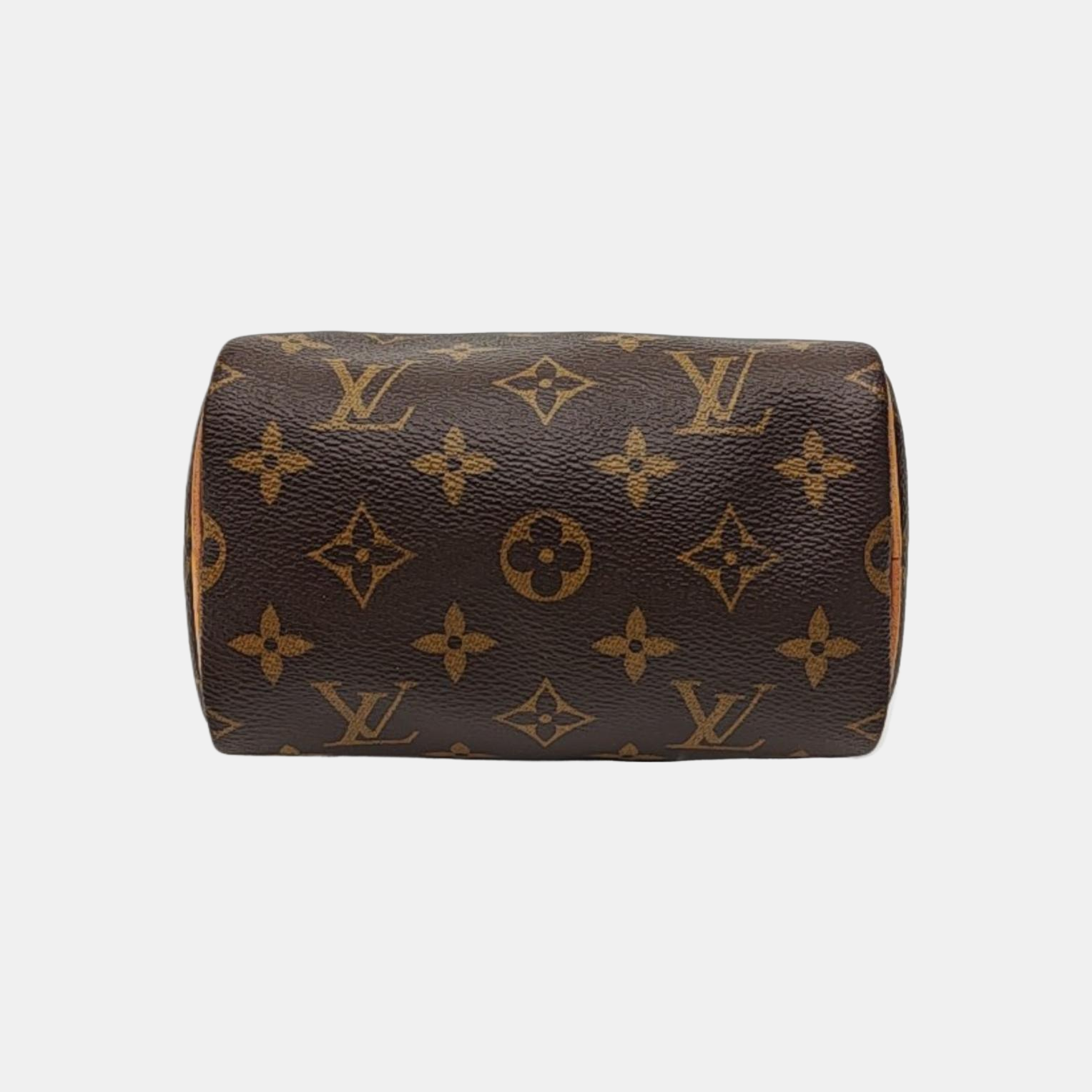 SPEEDY Nano Monogram Coated Canvas Brown