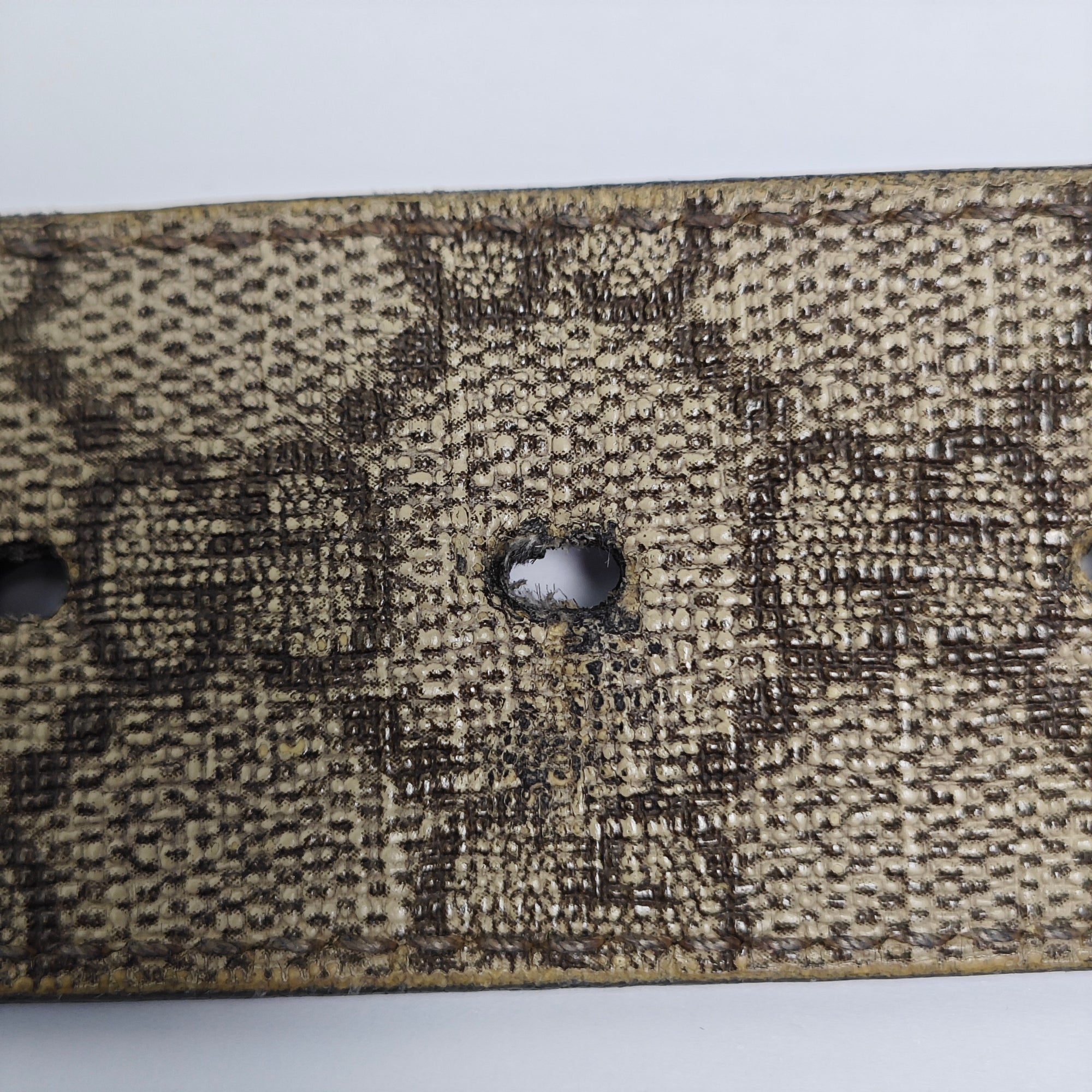 Coated Canvas Belt Beige