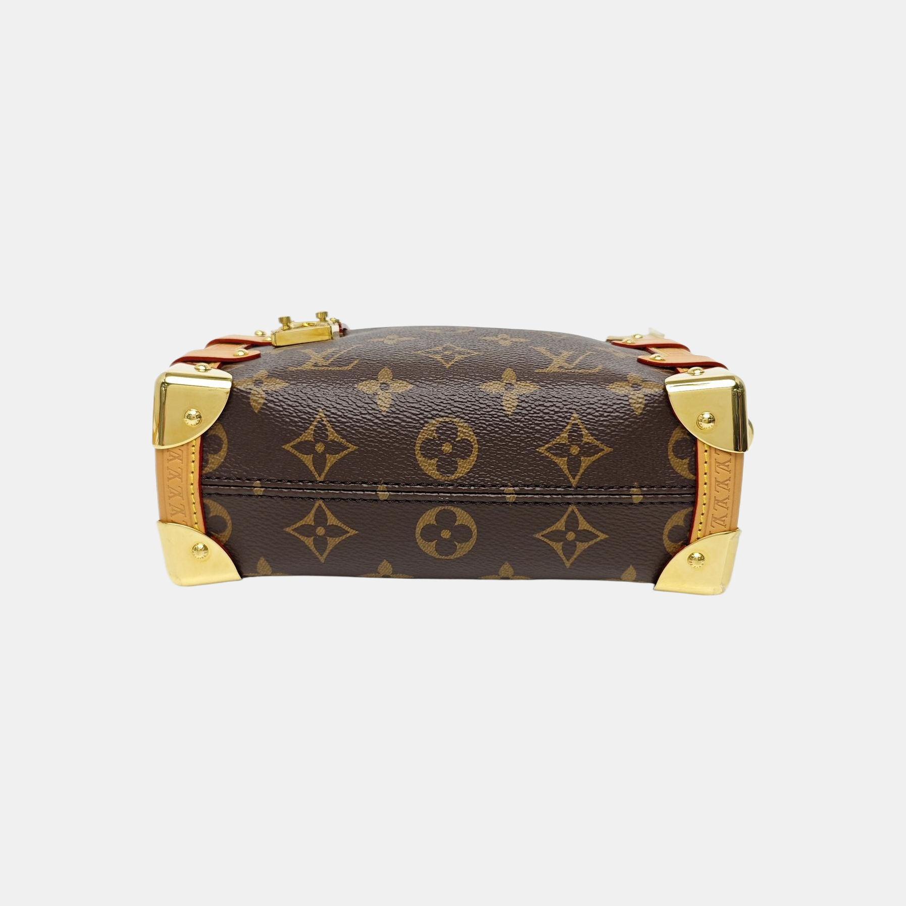 SIDE TRUNK PM Monogram Coated Canvas Brown