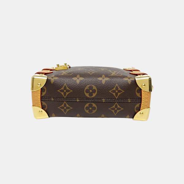 SIDE TRUNK PM Monogram Coated Canvas Brown