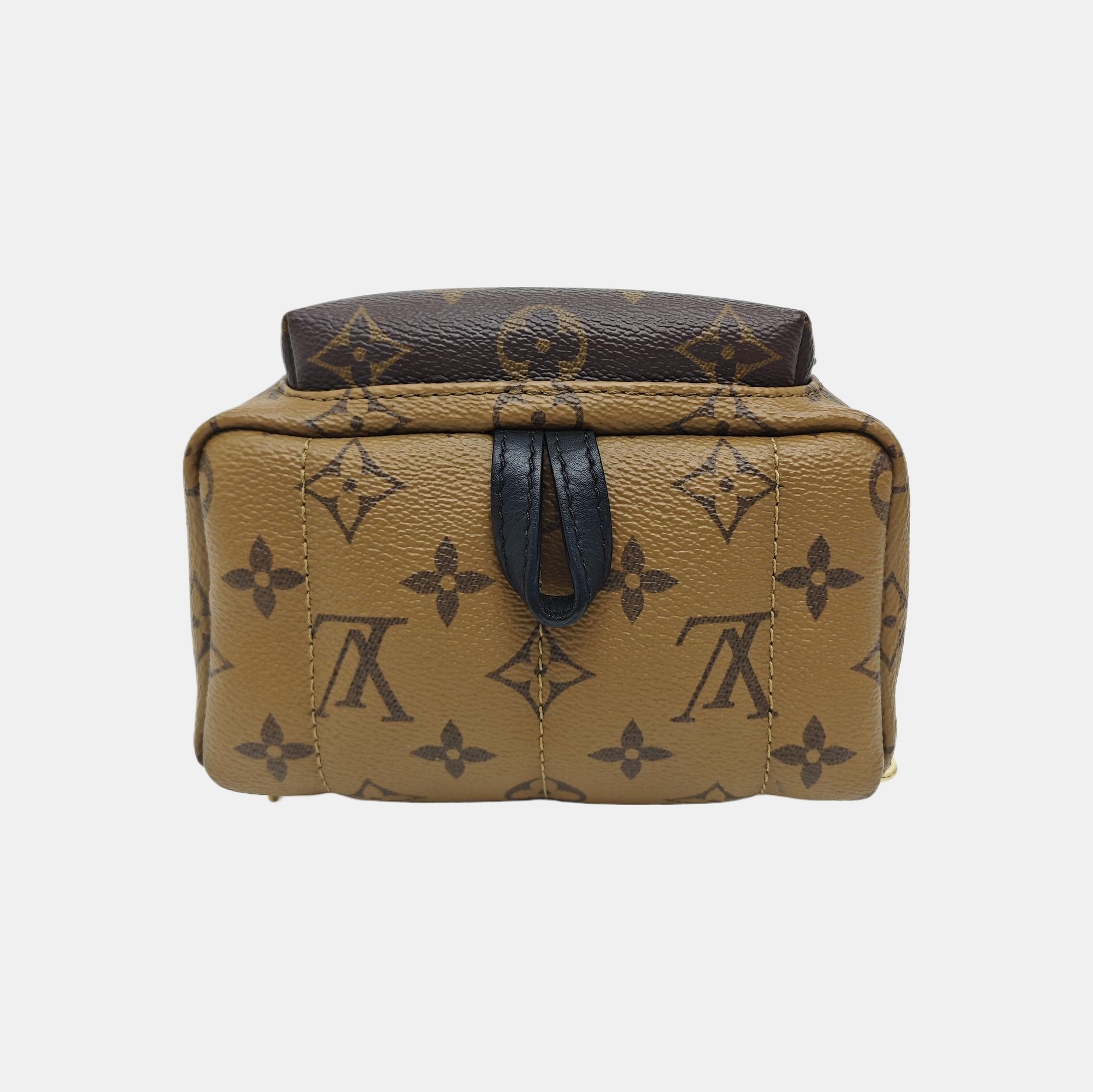 PALM SPRINGS Mini Monogram Coated Canvas Brown