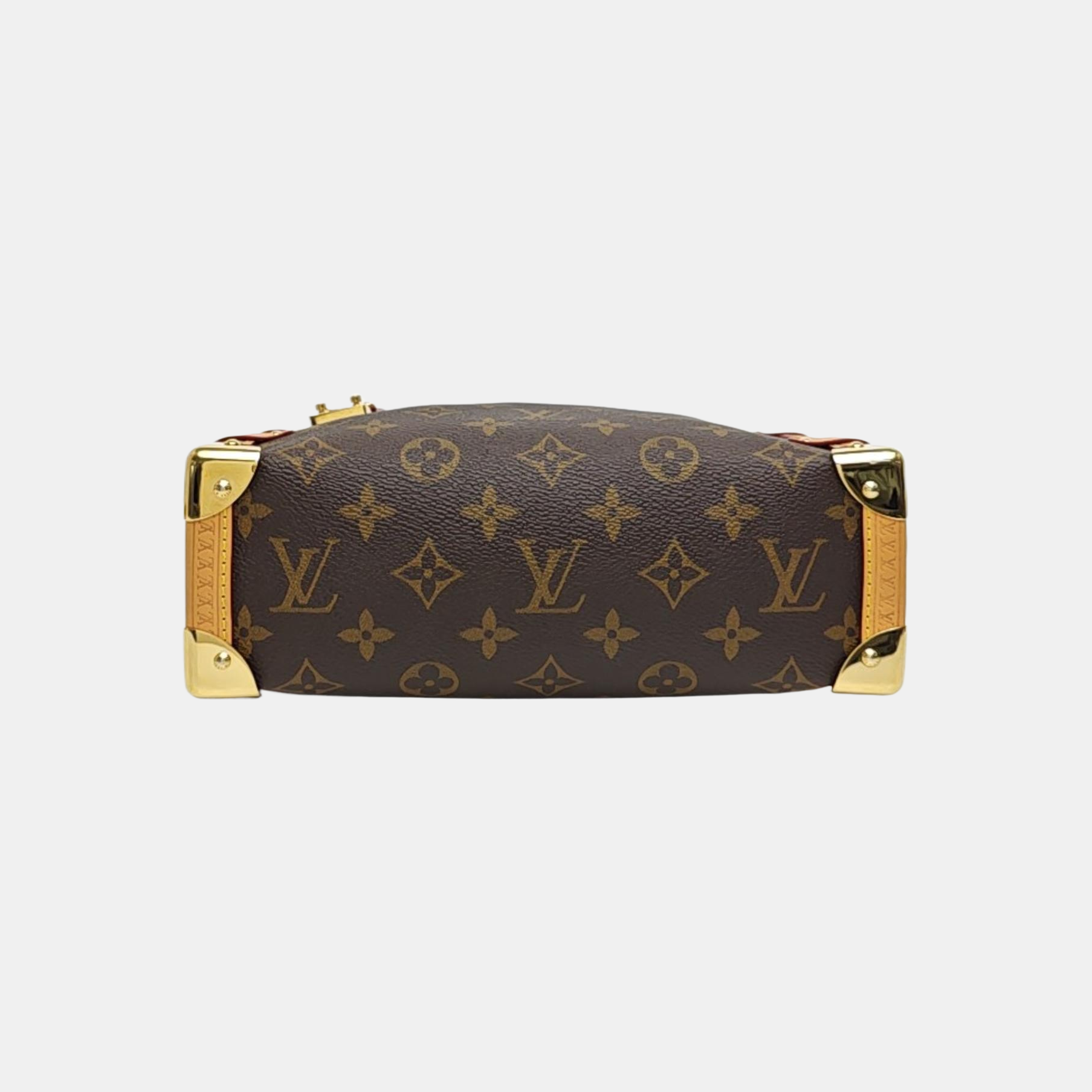 SIDE TRUNK MM Monogram Coated Canvas Brown