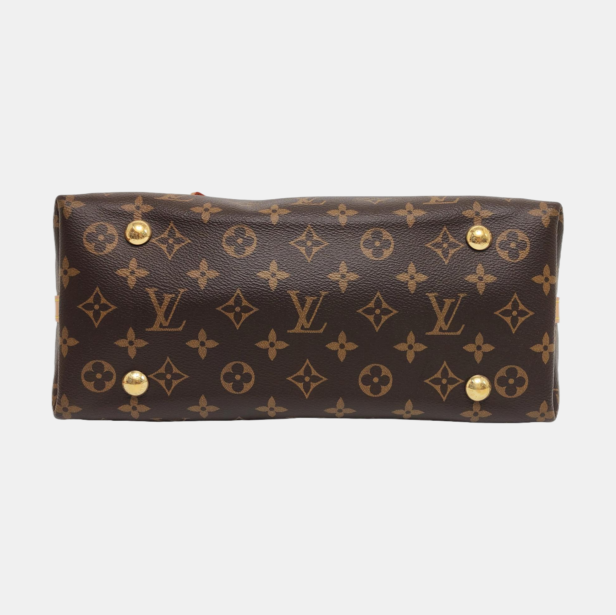 CARRYALL PM Monogram Coated Canvas Brown