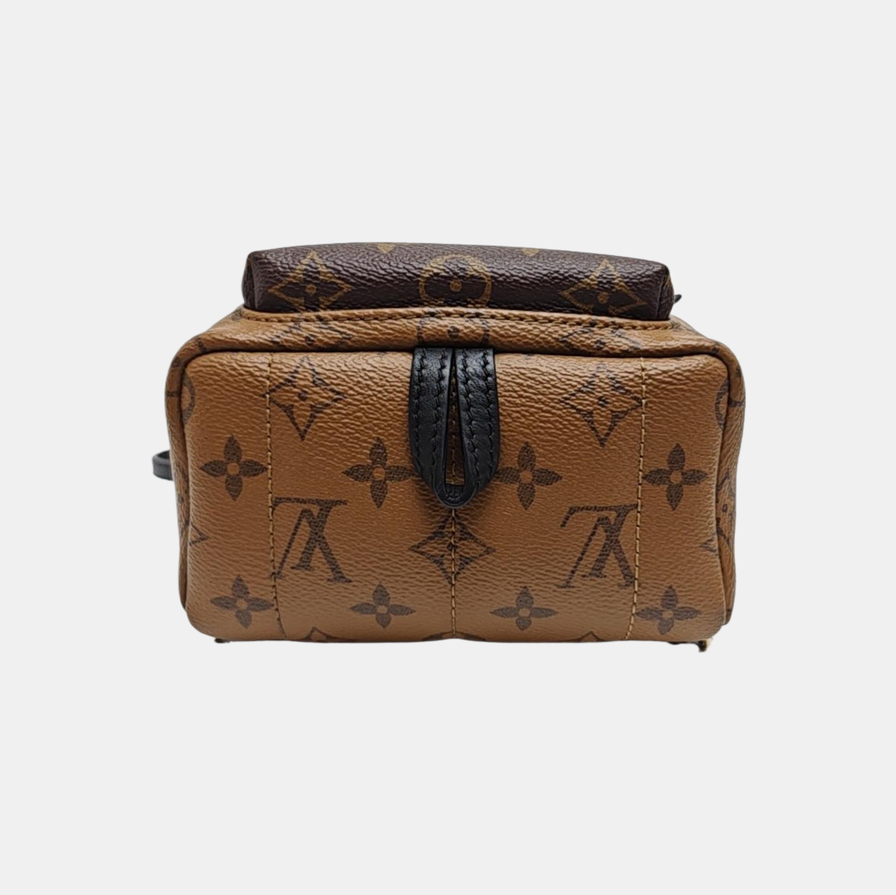 PALM SPRINGS Mini Monogram Coated Canvas Brown