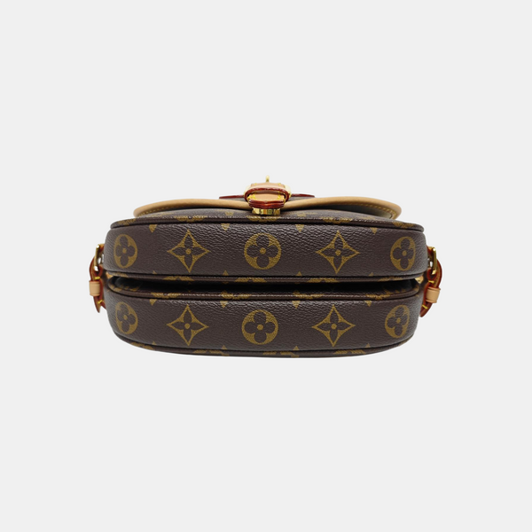 SAUMUR BB Monogram Coated Canvas Brown