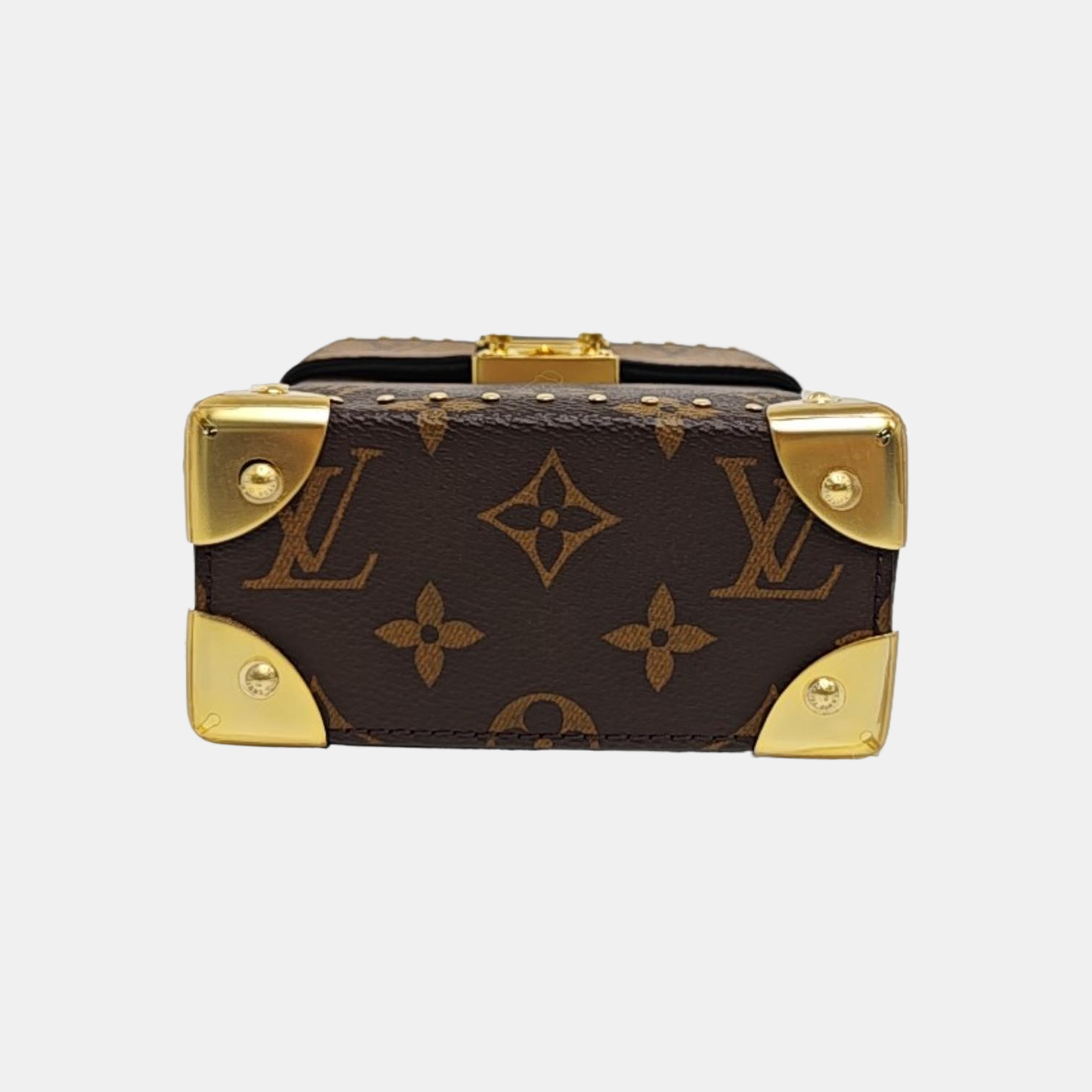 CAMERA BOX Monogram Coated Canvas Brown