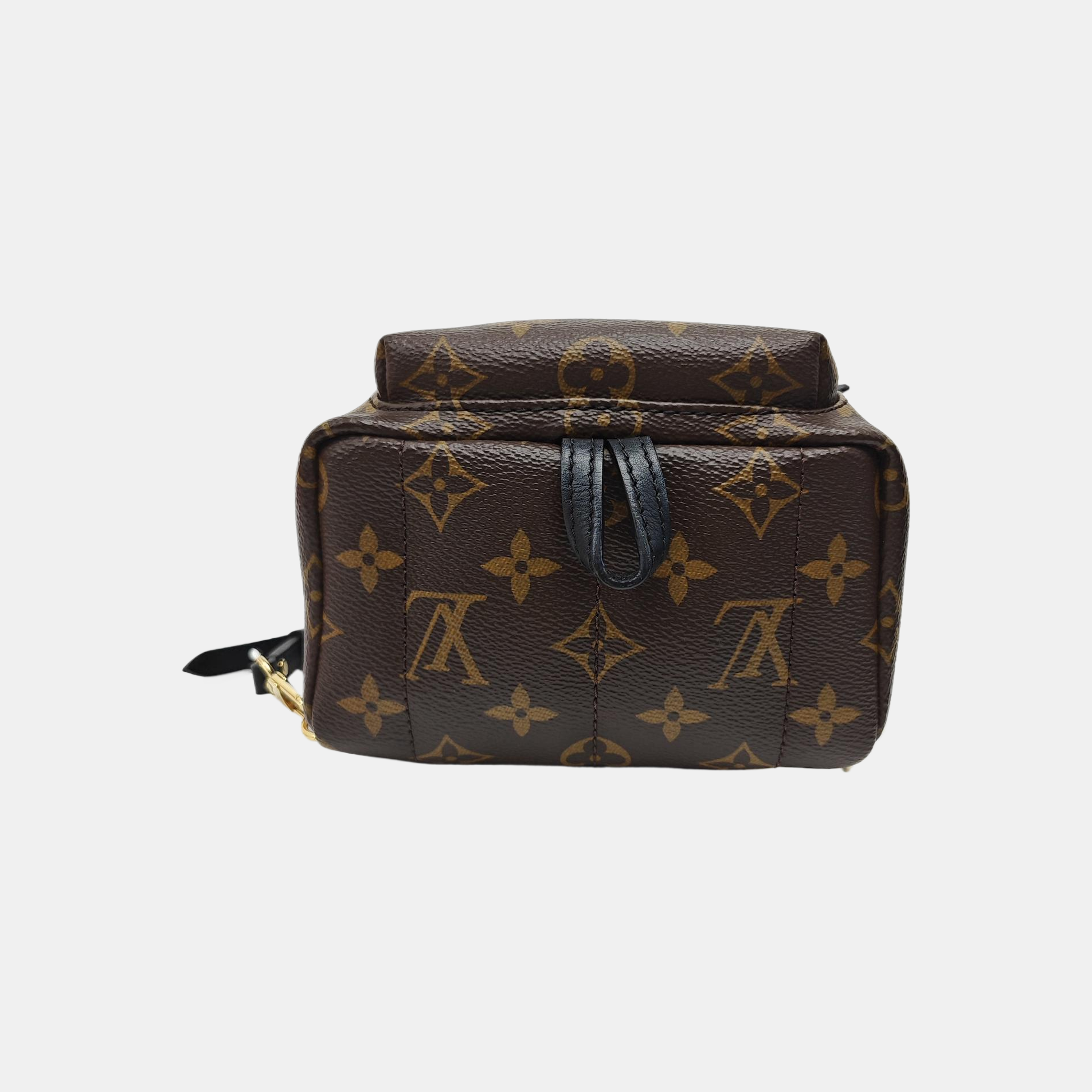 PALM SPRINGS Mini Monogram Coated Canvas Brown