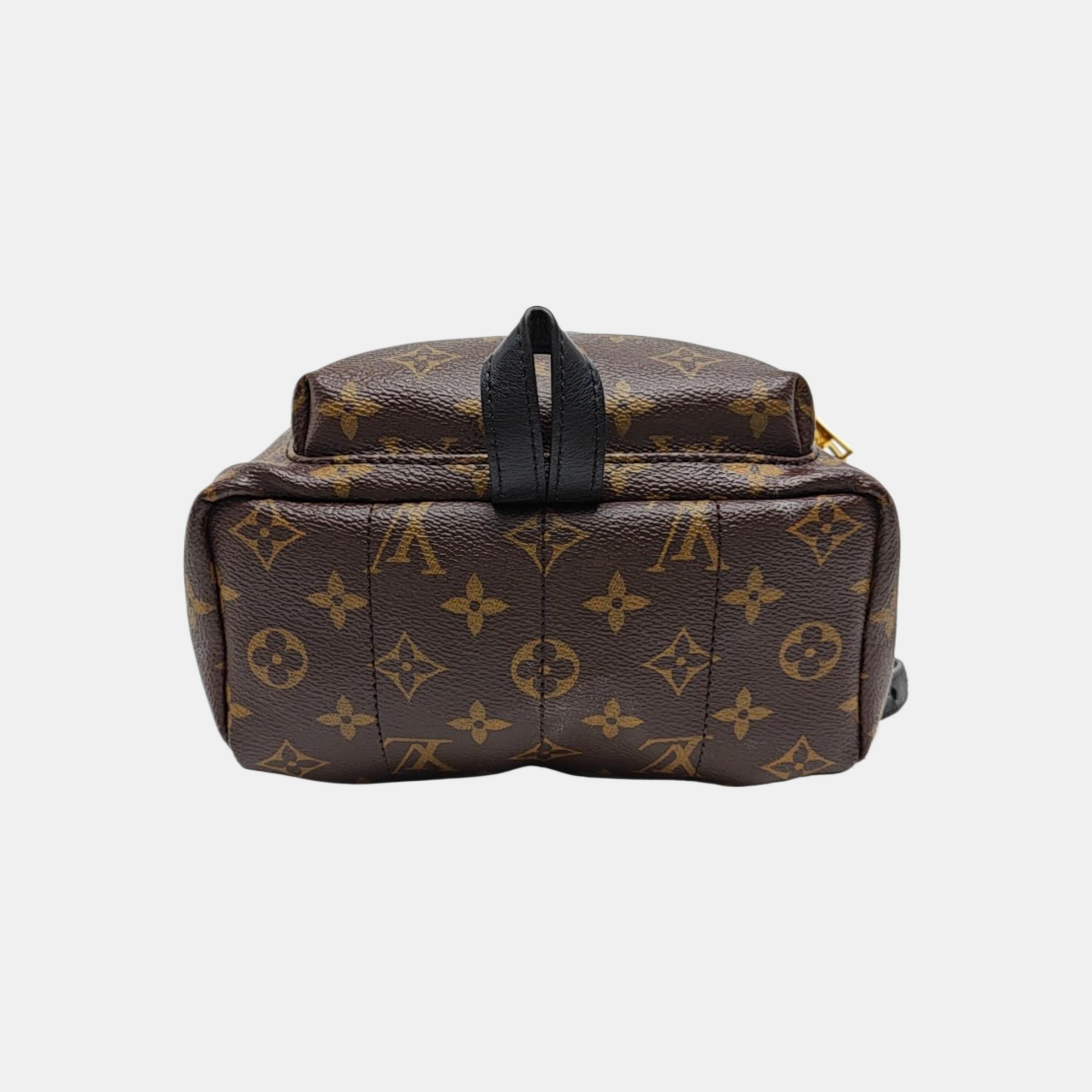 PALM SPRINGS PM Monogram Coated Canvas Brown