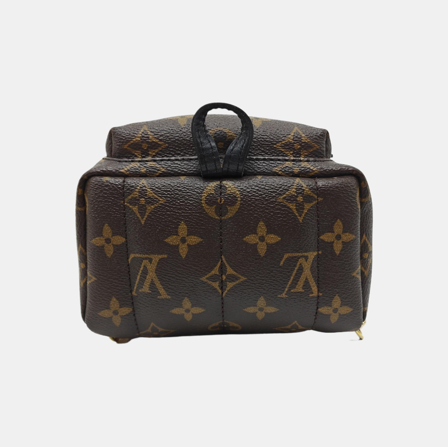 PALM SPRINGS Mini Monogram Coated Canvas Brown