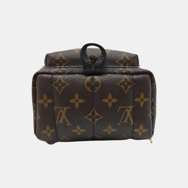 PALM SPRINGS Mini Monogram Coated Canvas Brown