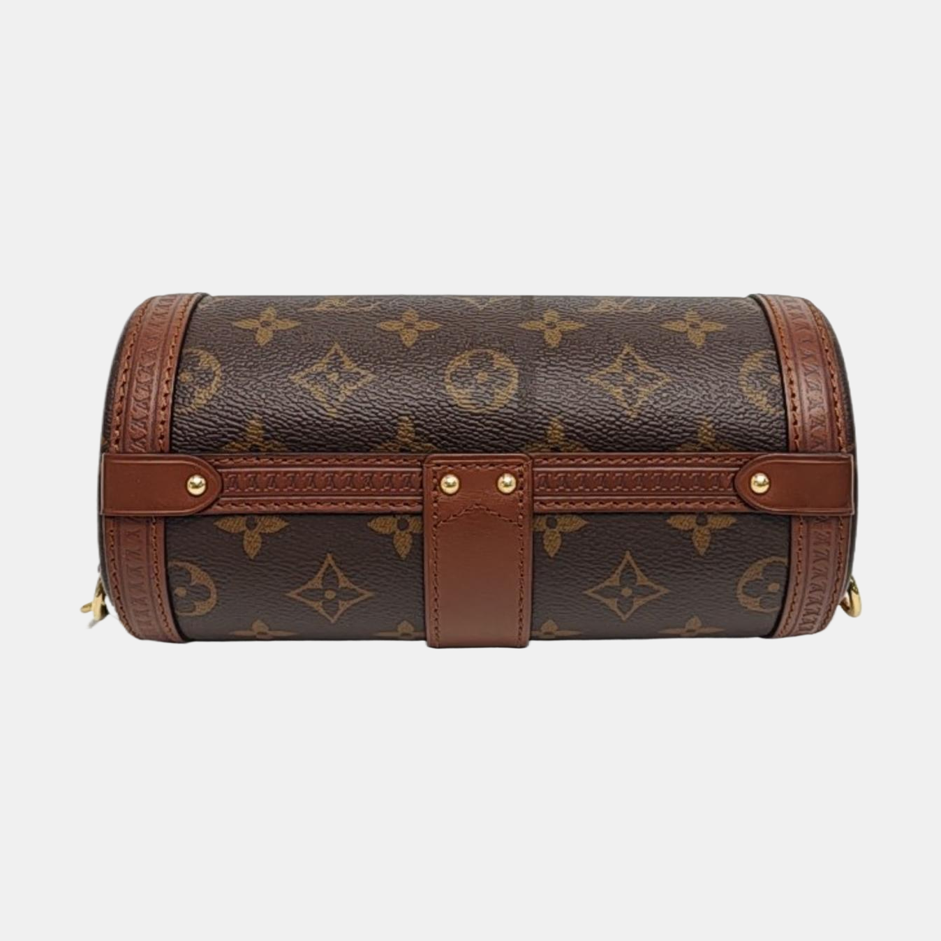 PAPILLON 19 Monogram Coated Canvas Brown