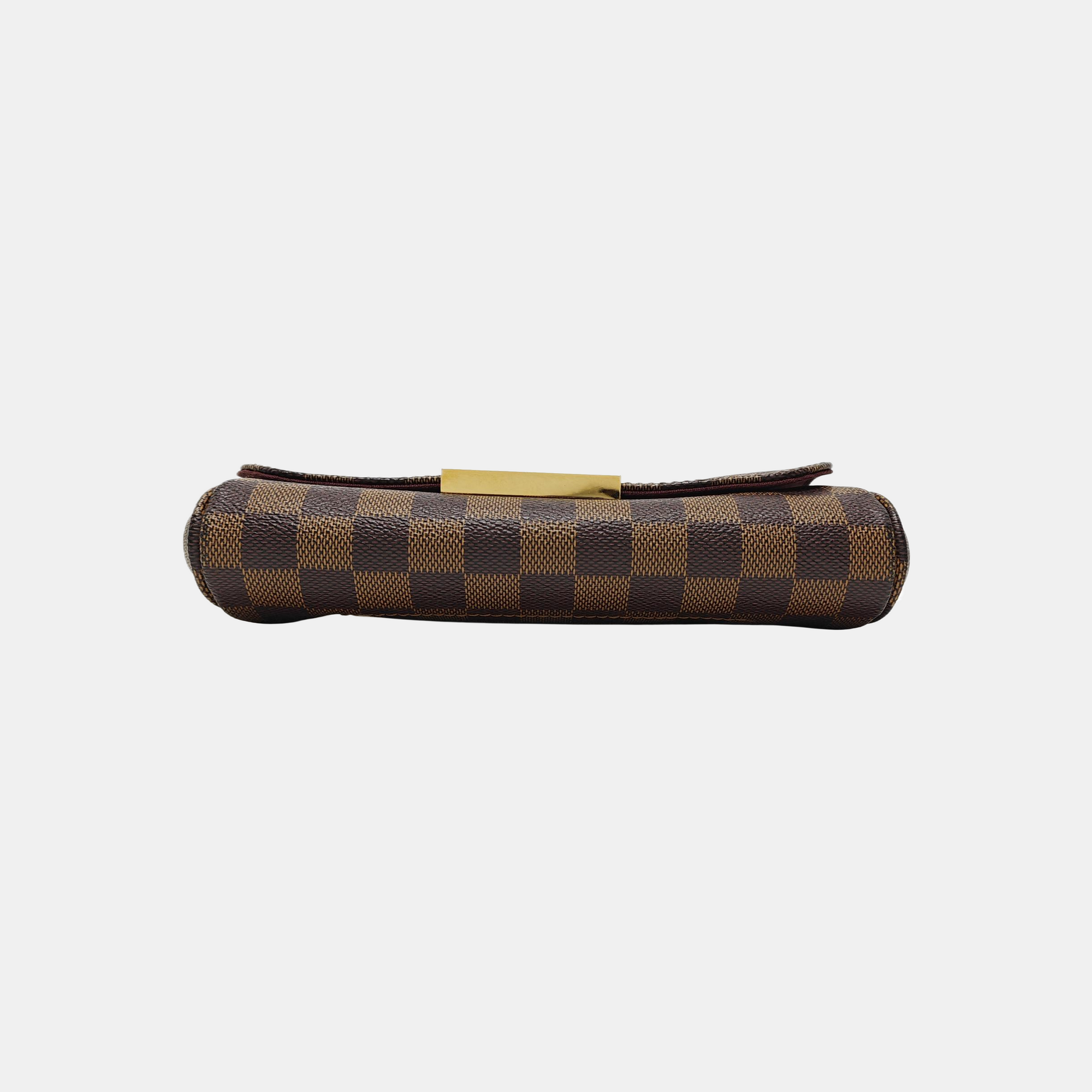 FAVORITE PM Coated Canvas Brown
