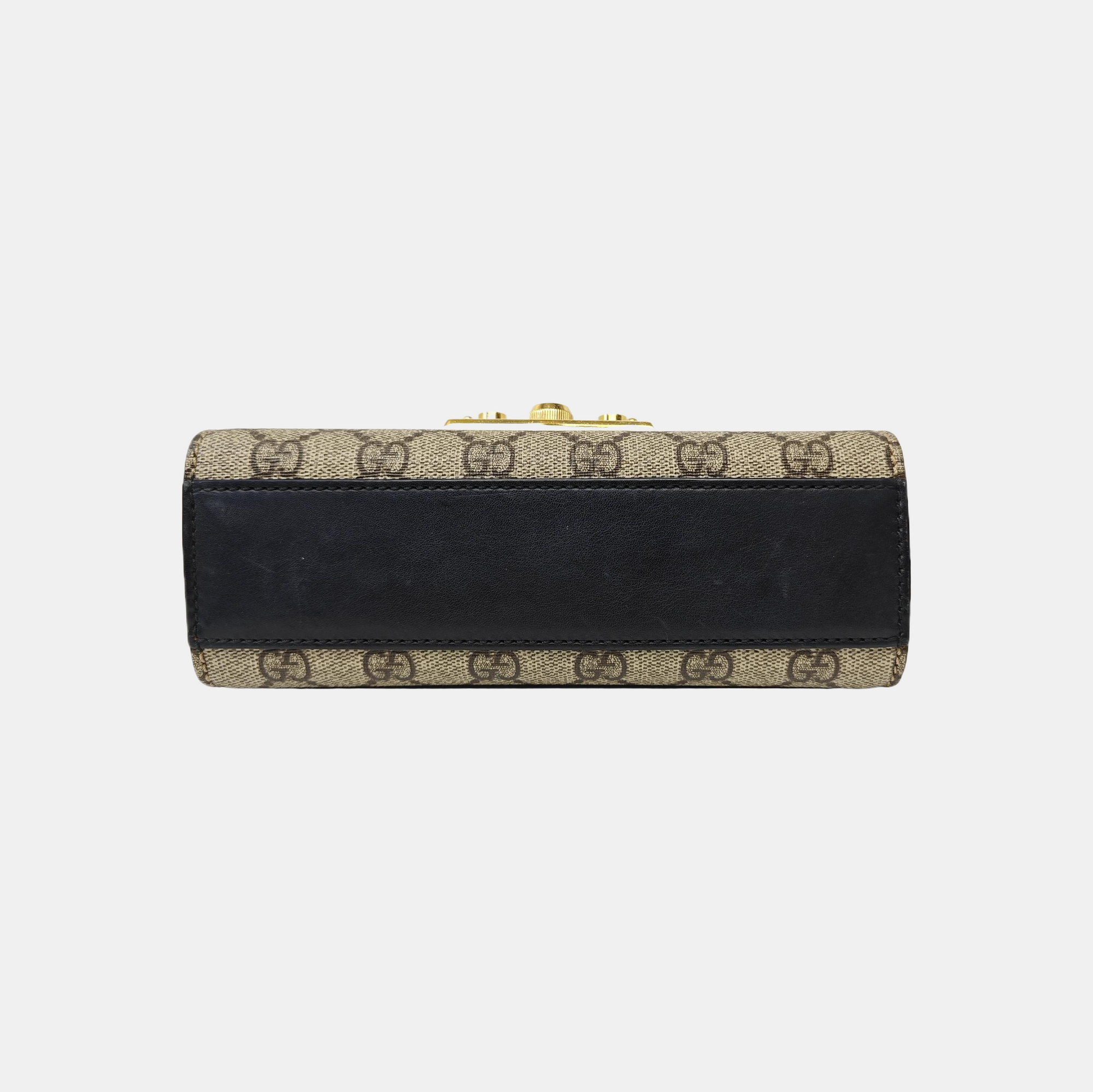 Padlock Small Monogram Coated Canvas Multicolor