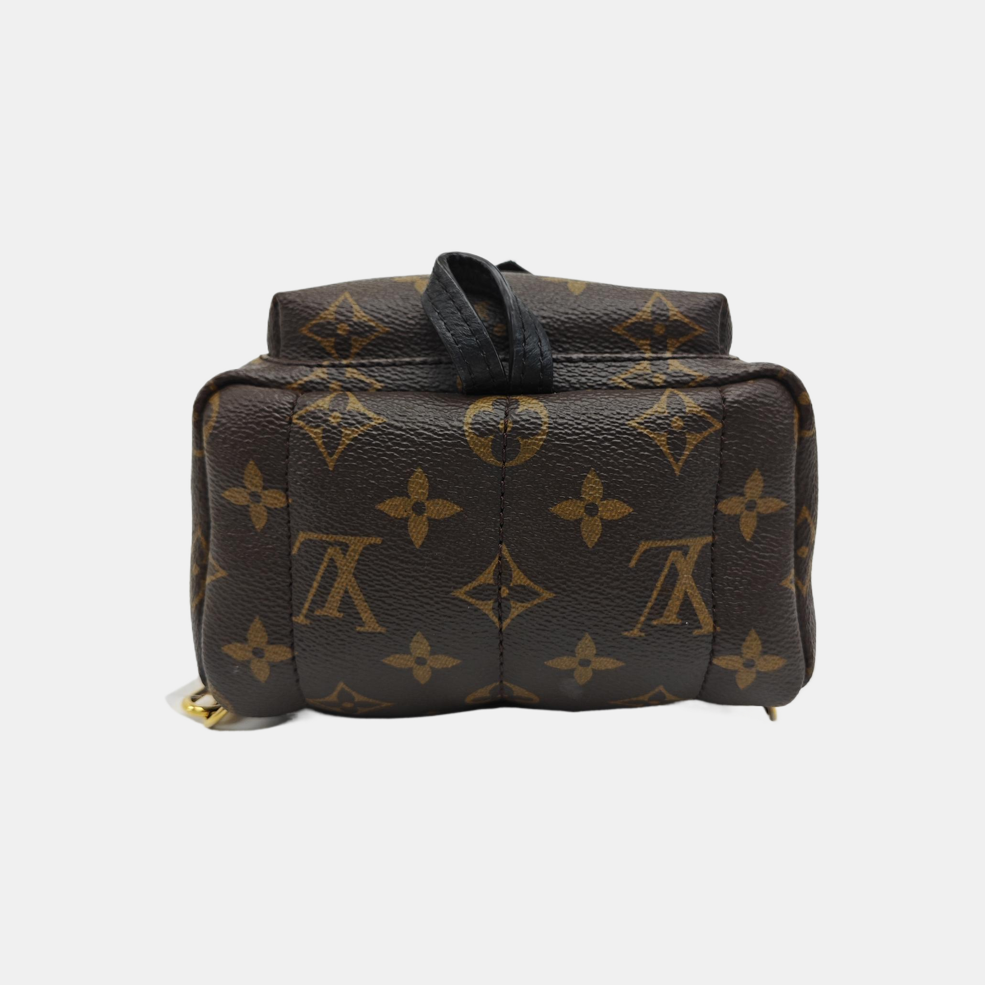 PALM SPRINGS Mini Monogram Coated Canvas Brown