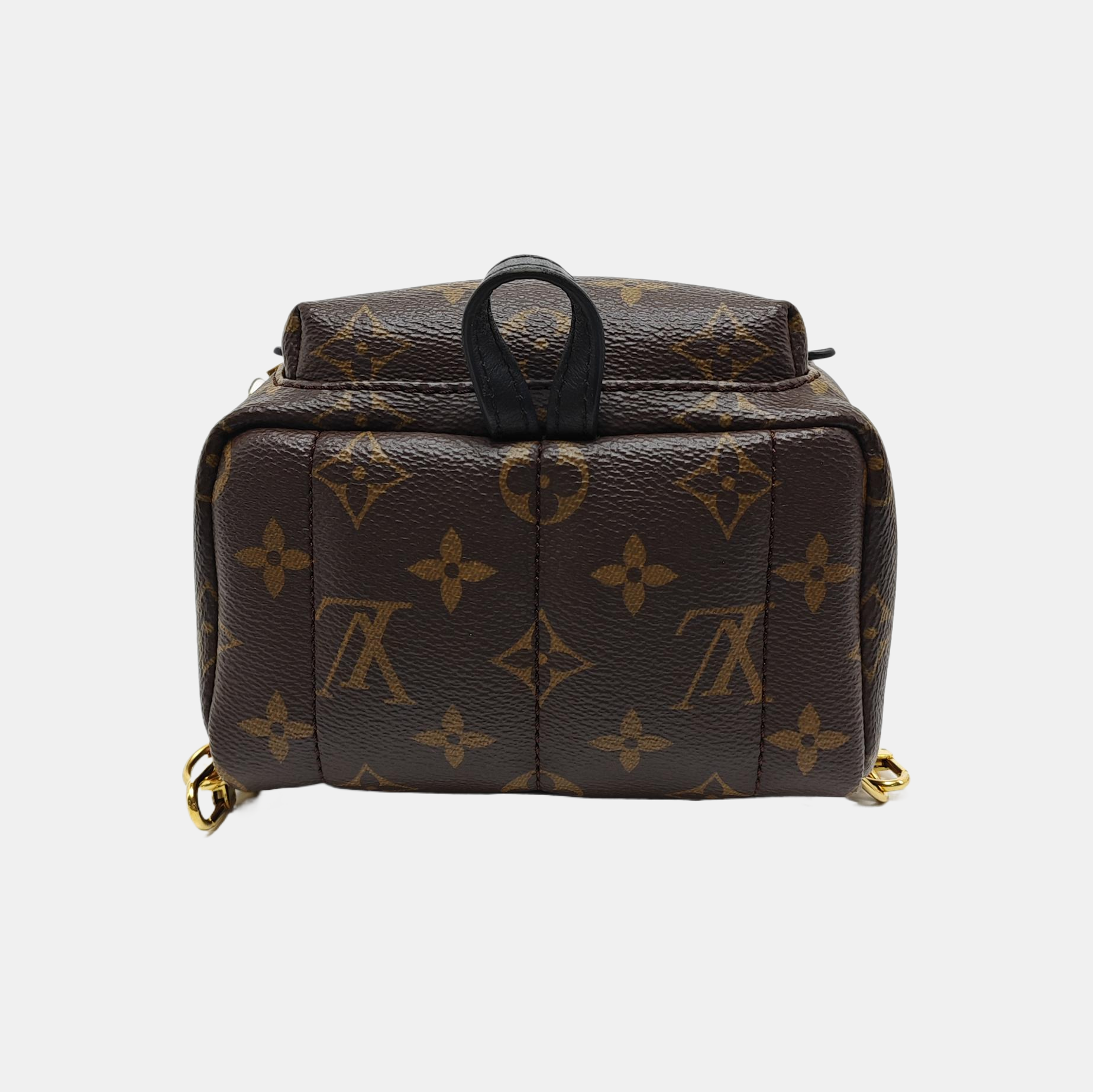 PALM SPRINGS Mini Monogram Coated Canvas Brown