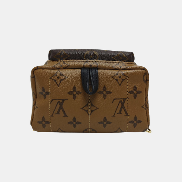 PALM SPRINGS Mini Monogram Coated Canvas Brown