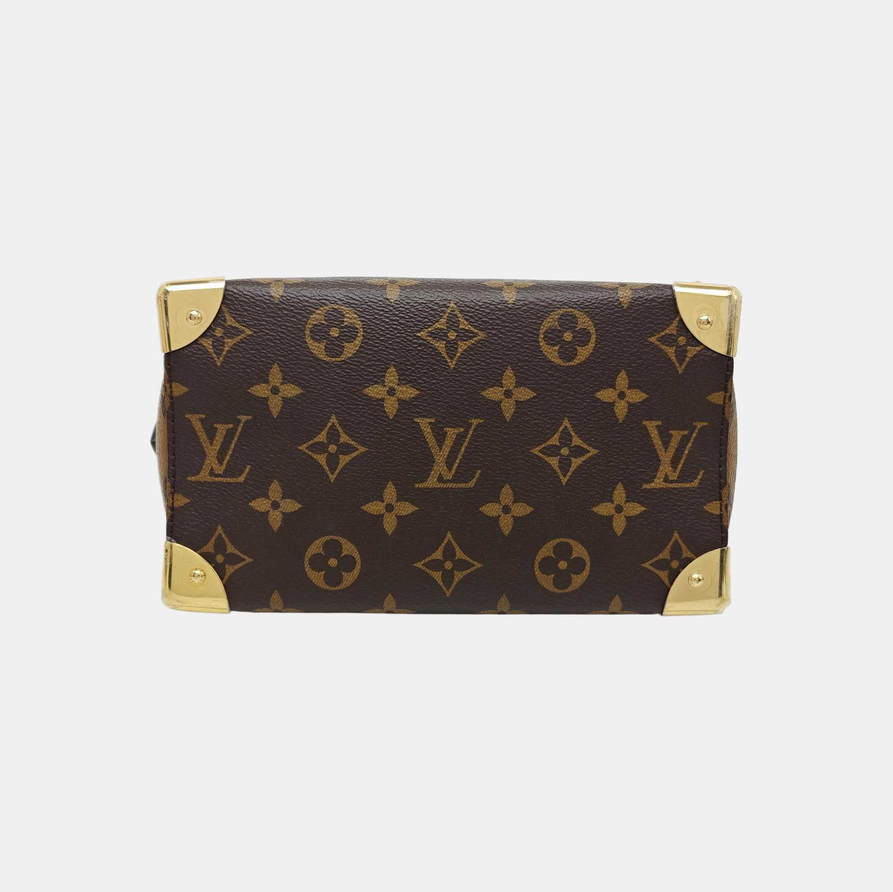 SPEEDY TRUNK 20 Monogram Coated Canvas Brown