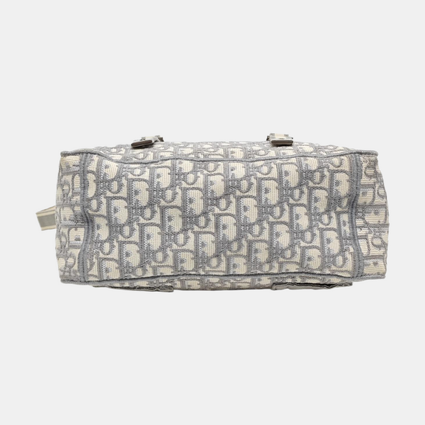 Diorcamp Large Oblique Canvas Gray