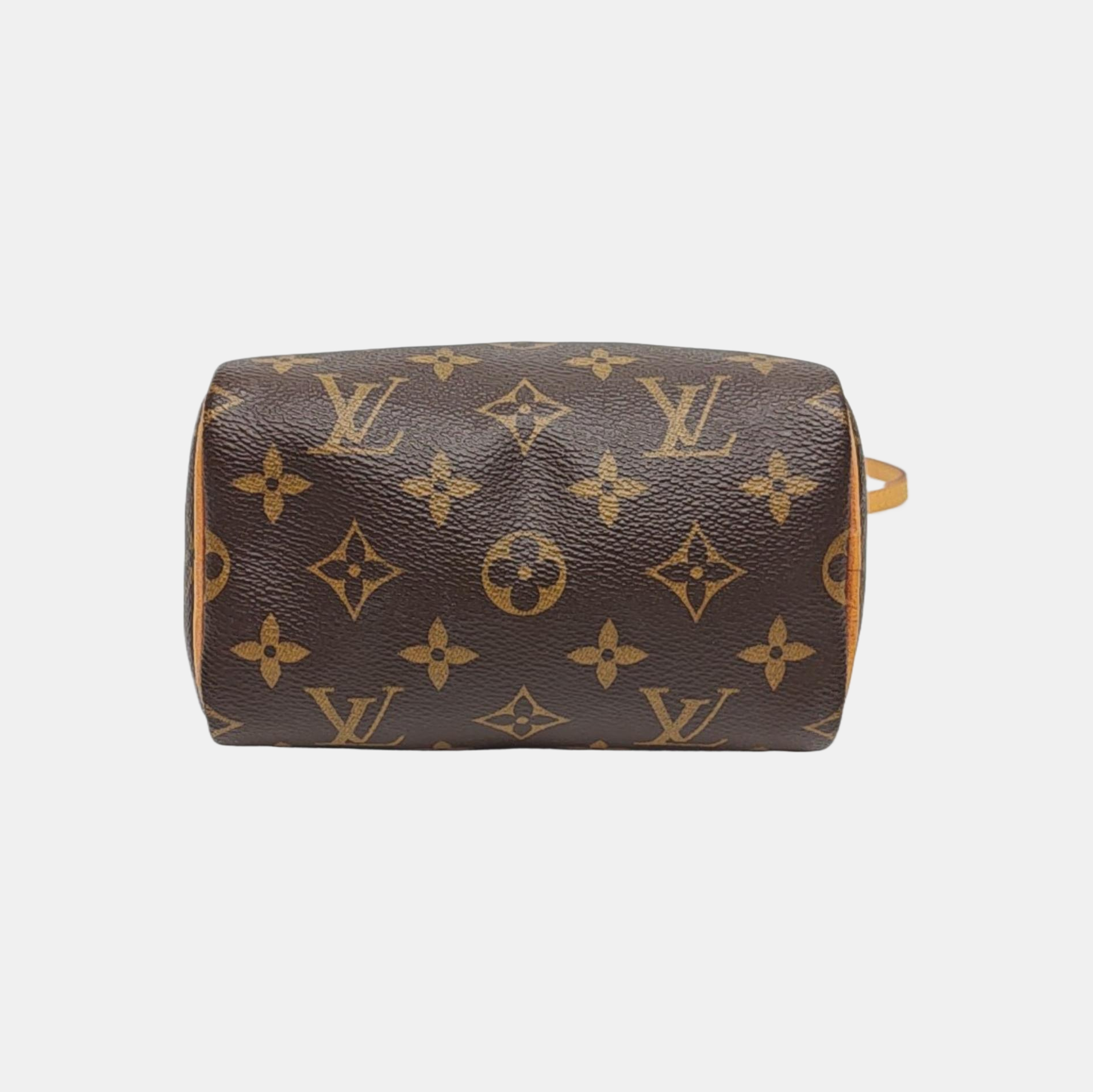 SPEEDY Nano Monogram Coated Canvas Brown