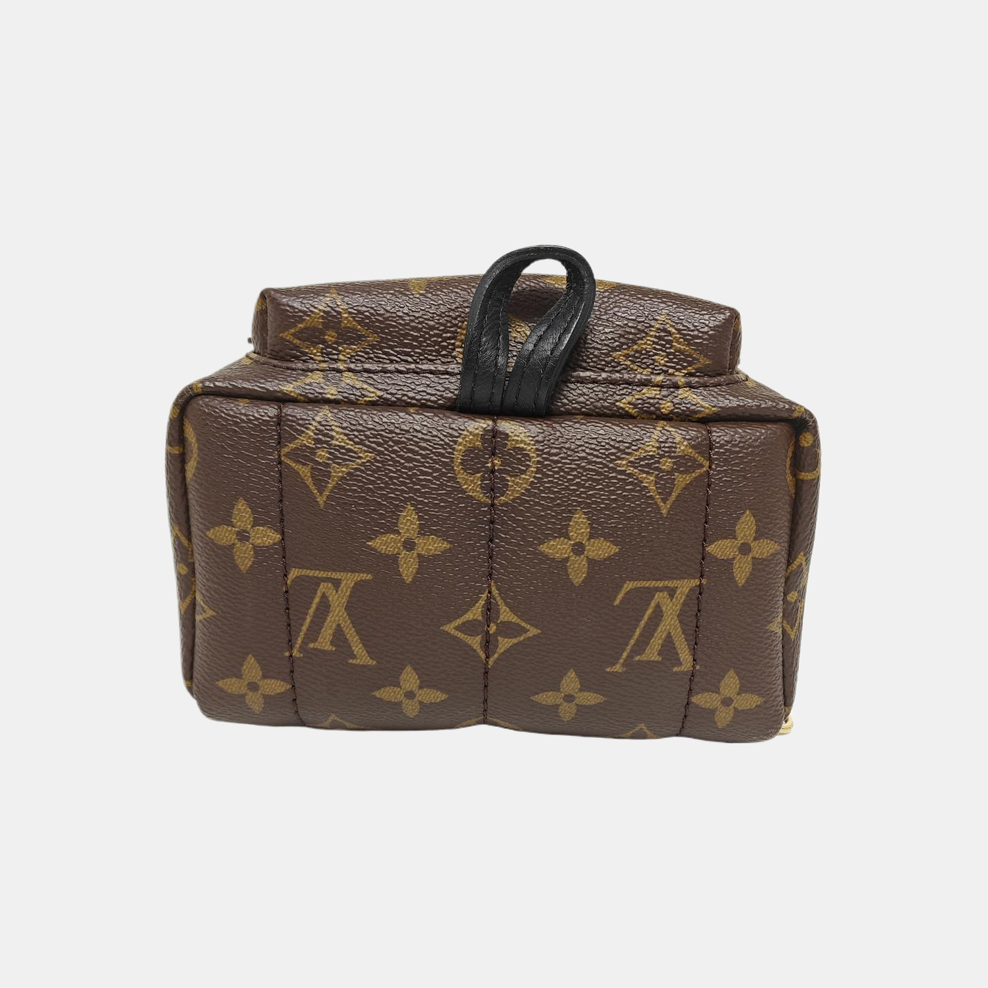 PALM SPRINGS Mini Monogram Coated Canvas Brown