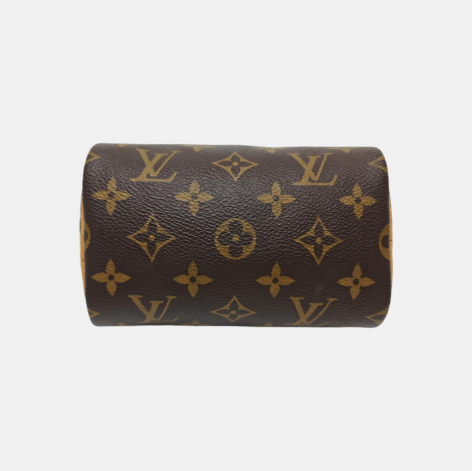 SPEEDY Nano Monogram Coated Canvas Brown