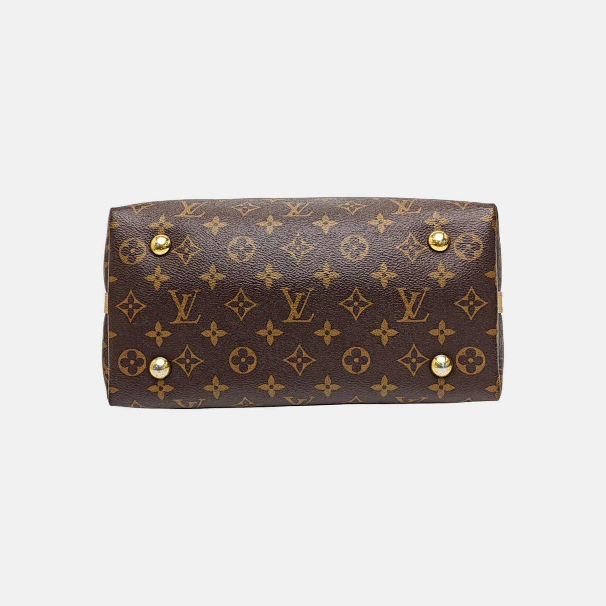 CARRYALL PM Monogram Coated Canvas Brown