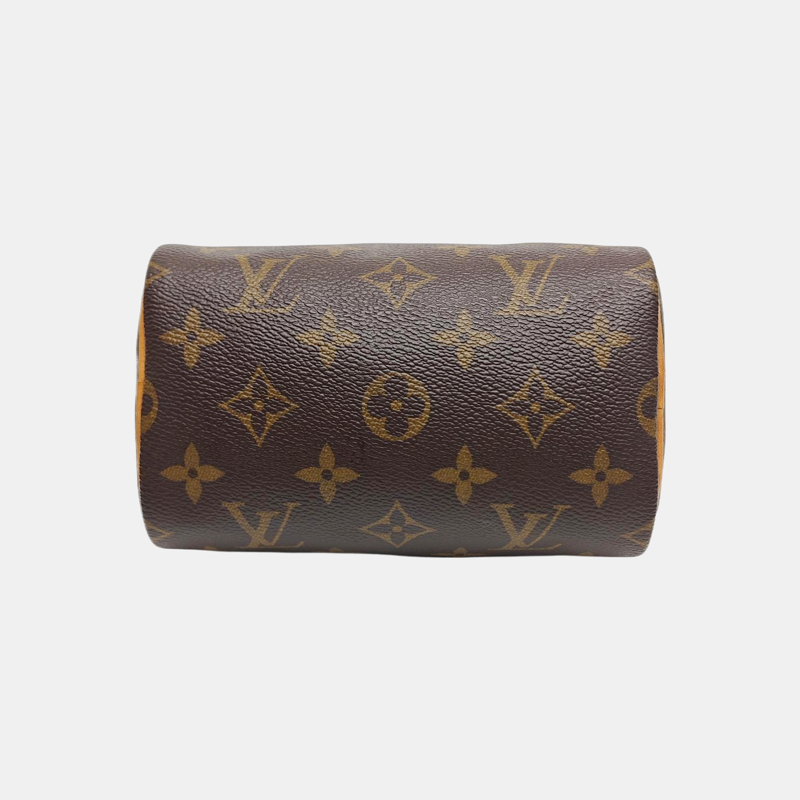 SPEEDY Nano Monogram Coated Canvas Brown