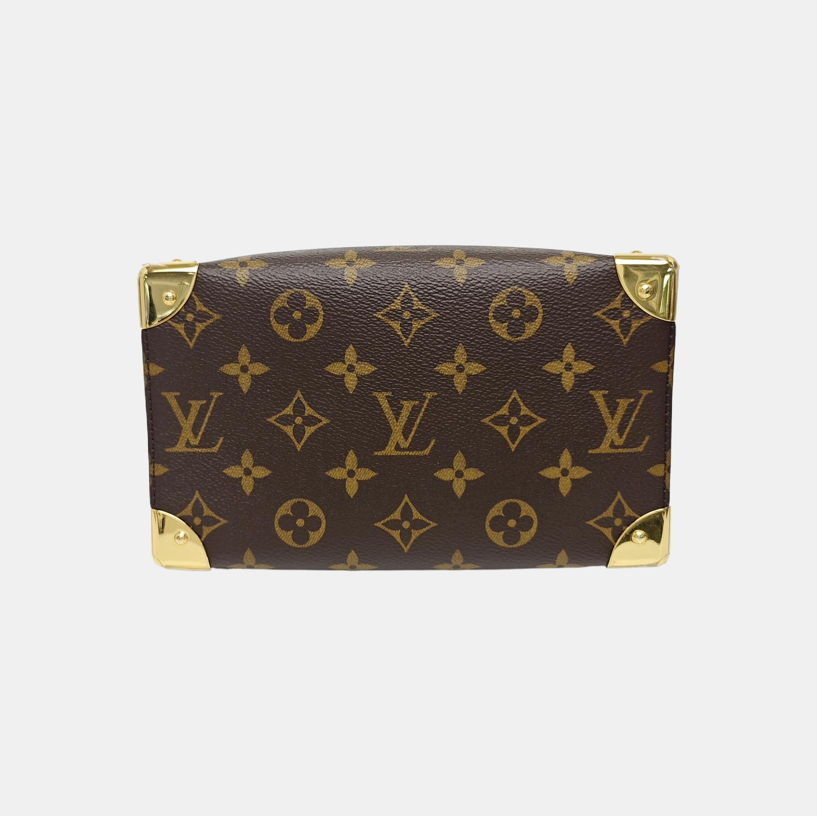SPEEDY TRUNK 20 Monogram Coated Canvas Brown