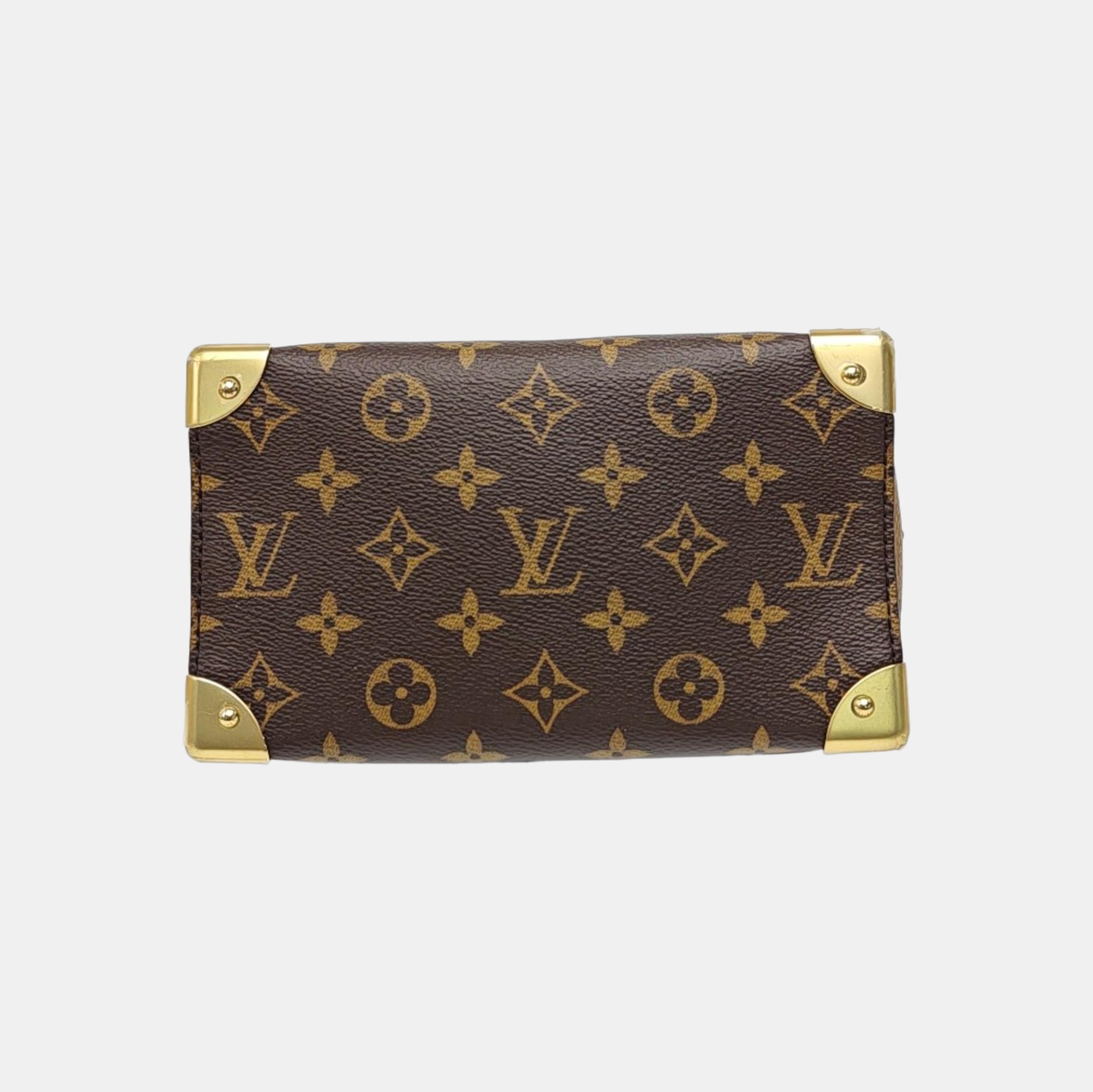 SPEEDY TRUNK 20 Monogram Coated Canvas Brown