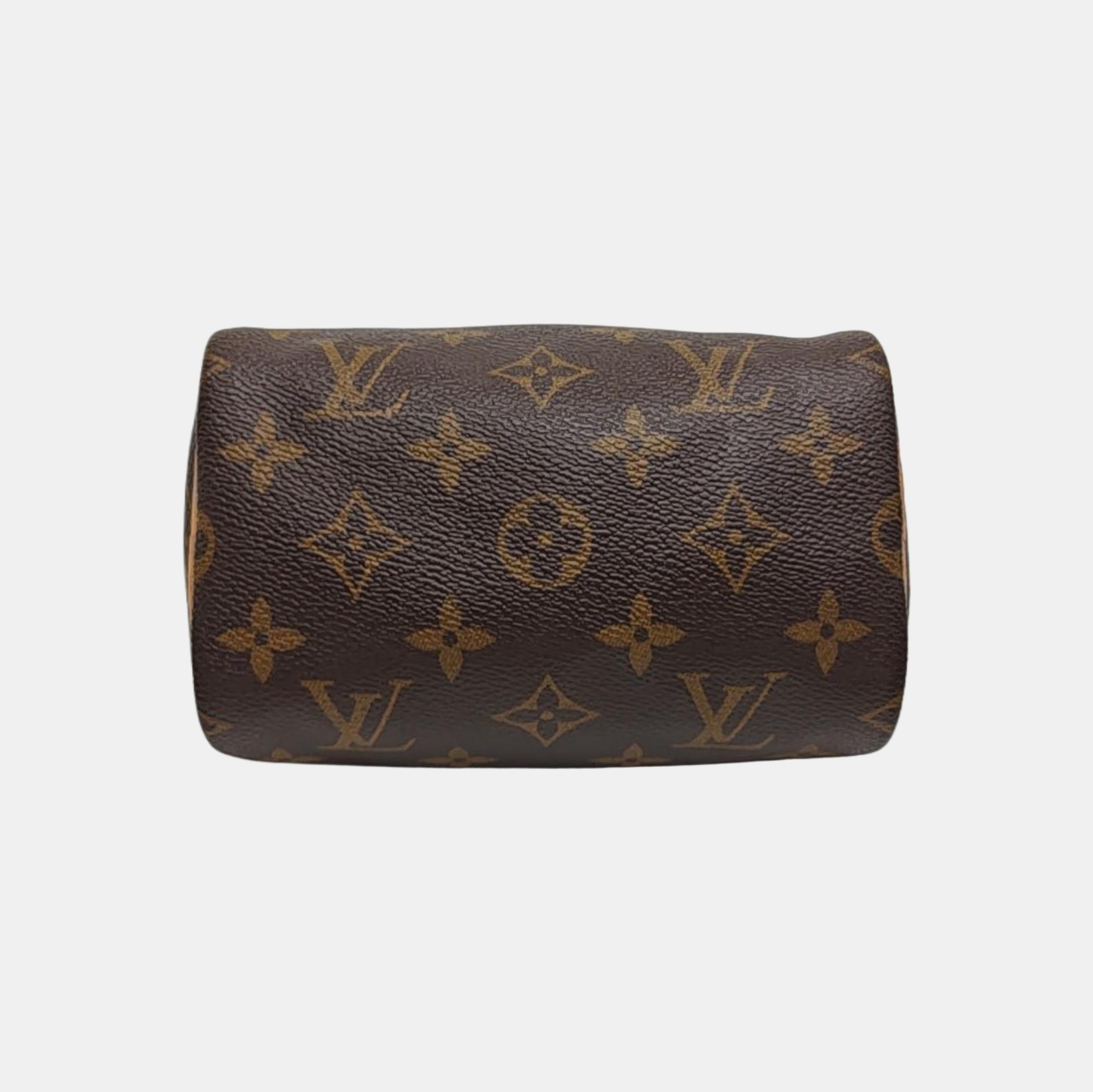 SPEEDY Nano Monogram Coated Canvas Brown