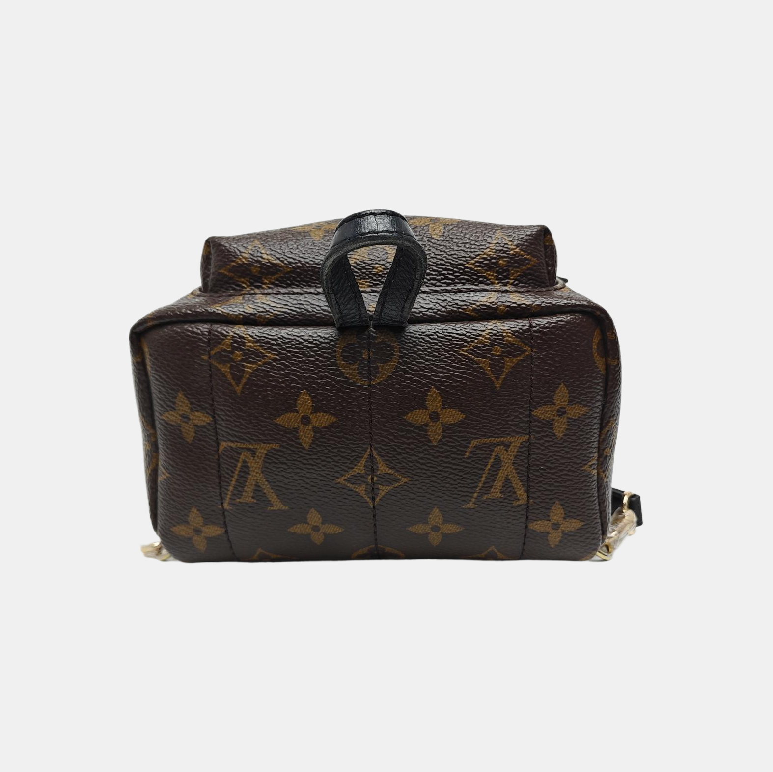 PALM SPRINGS Mini Monogram Coated Canvas Brown