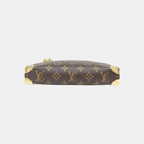 SLIM TRUNK Monogram Coated Canvas Brown