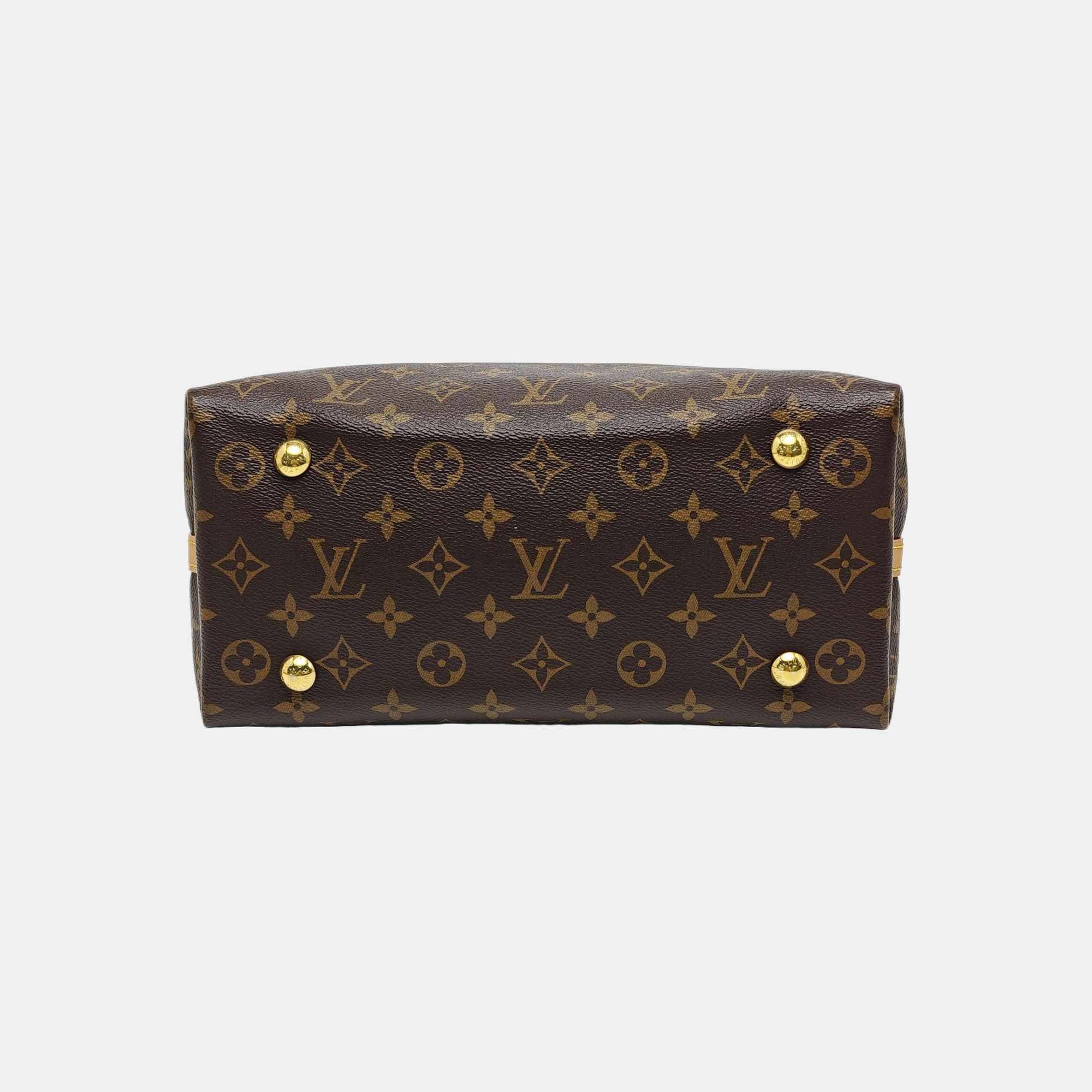CARRYALL PM Monogram Coated Canvas Brown