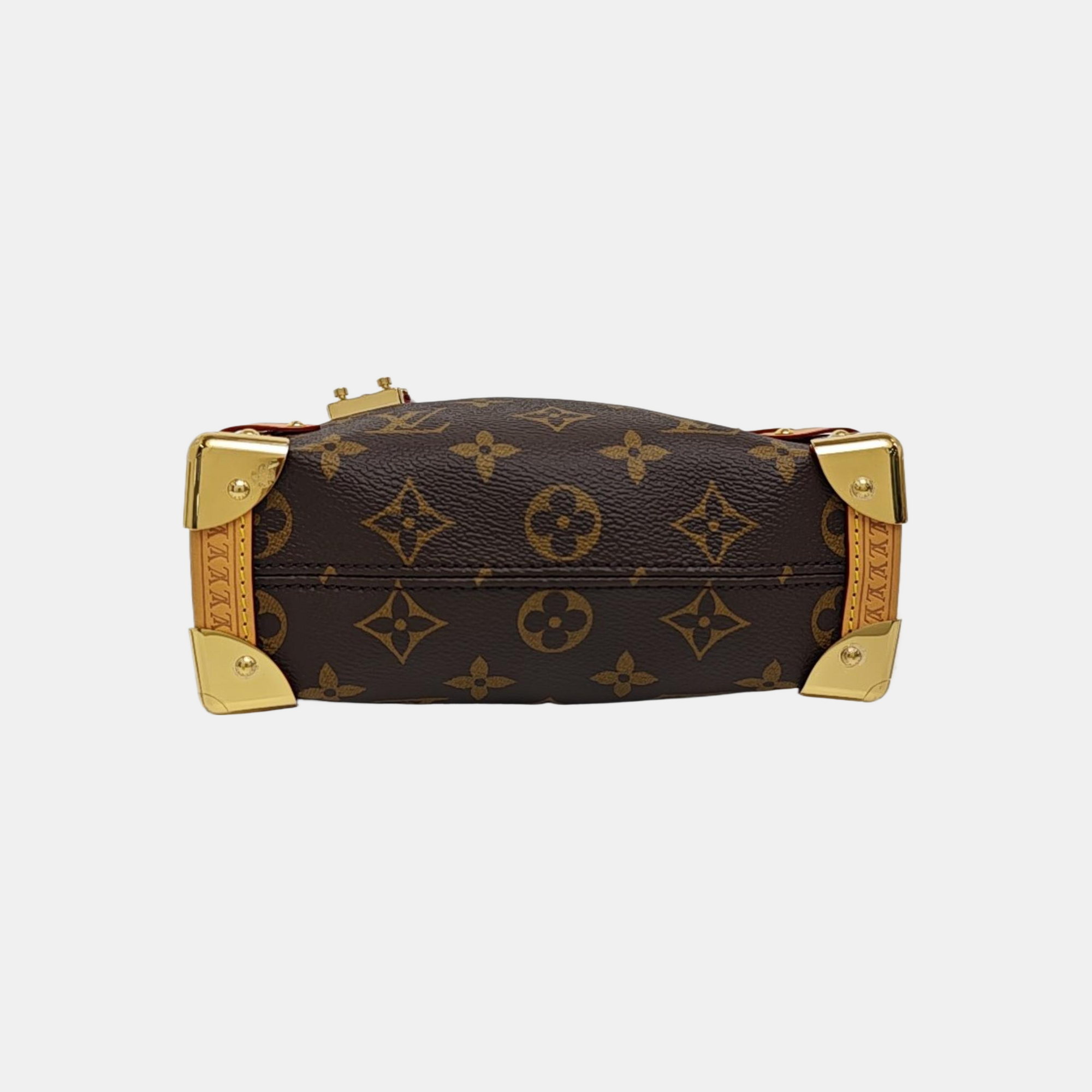 SIDE TRUNK PM Monogram Coated Canvas Brown