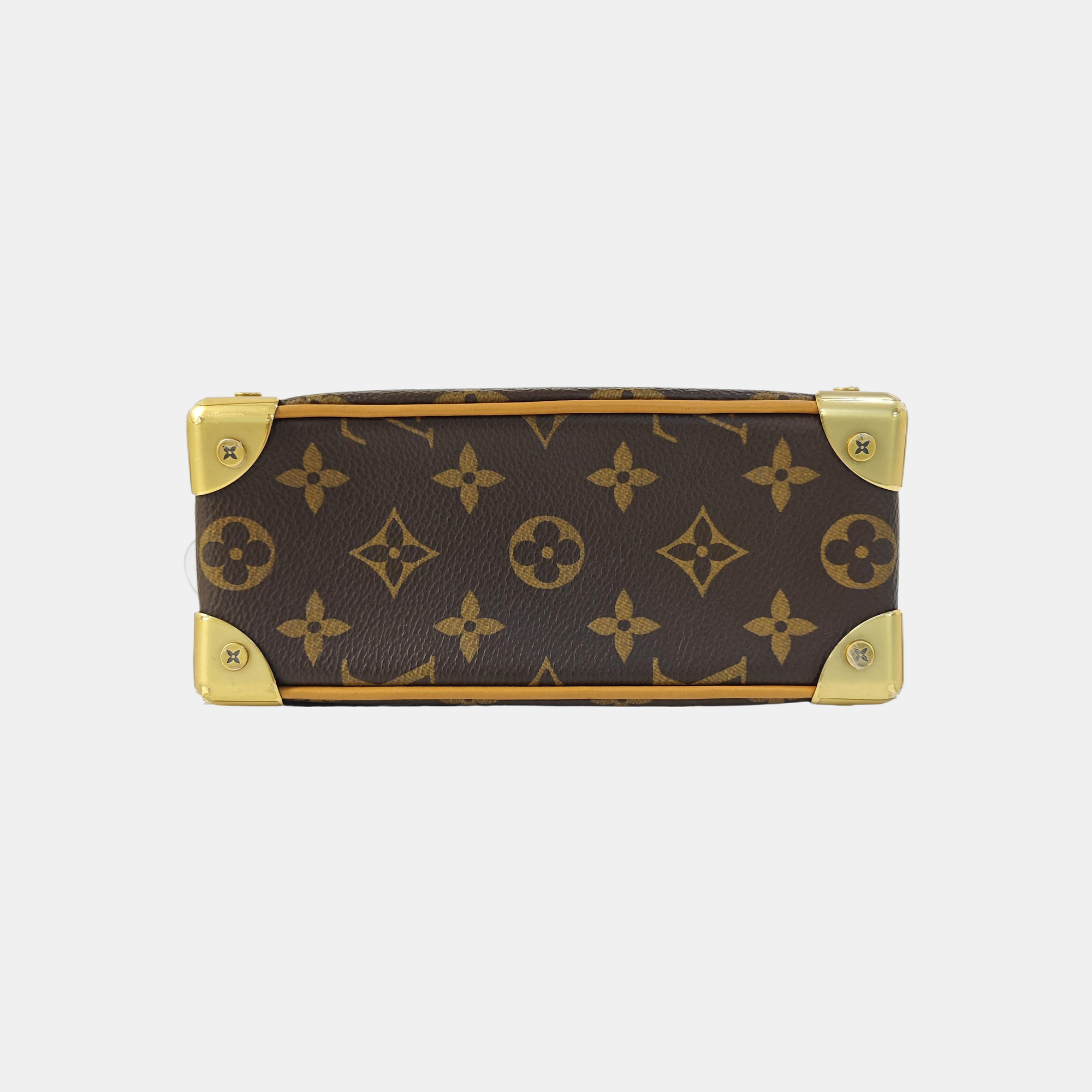 SOFT TRUNK Mini Monogram Coated Canvas Brown