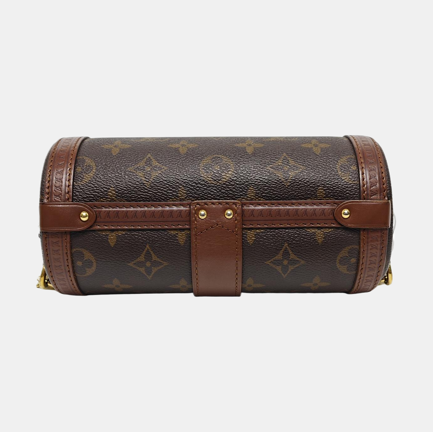 PAPILLON 19 Monogram Coated Canvas Brown
