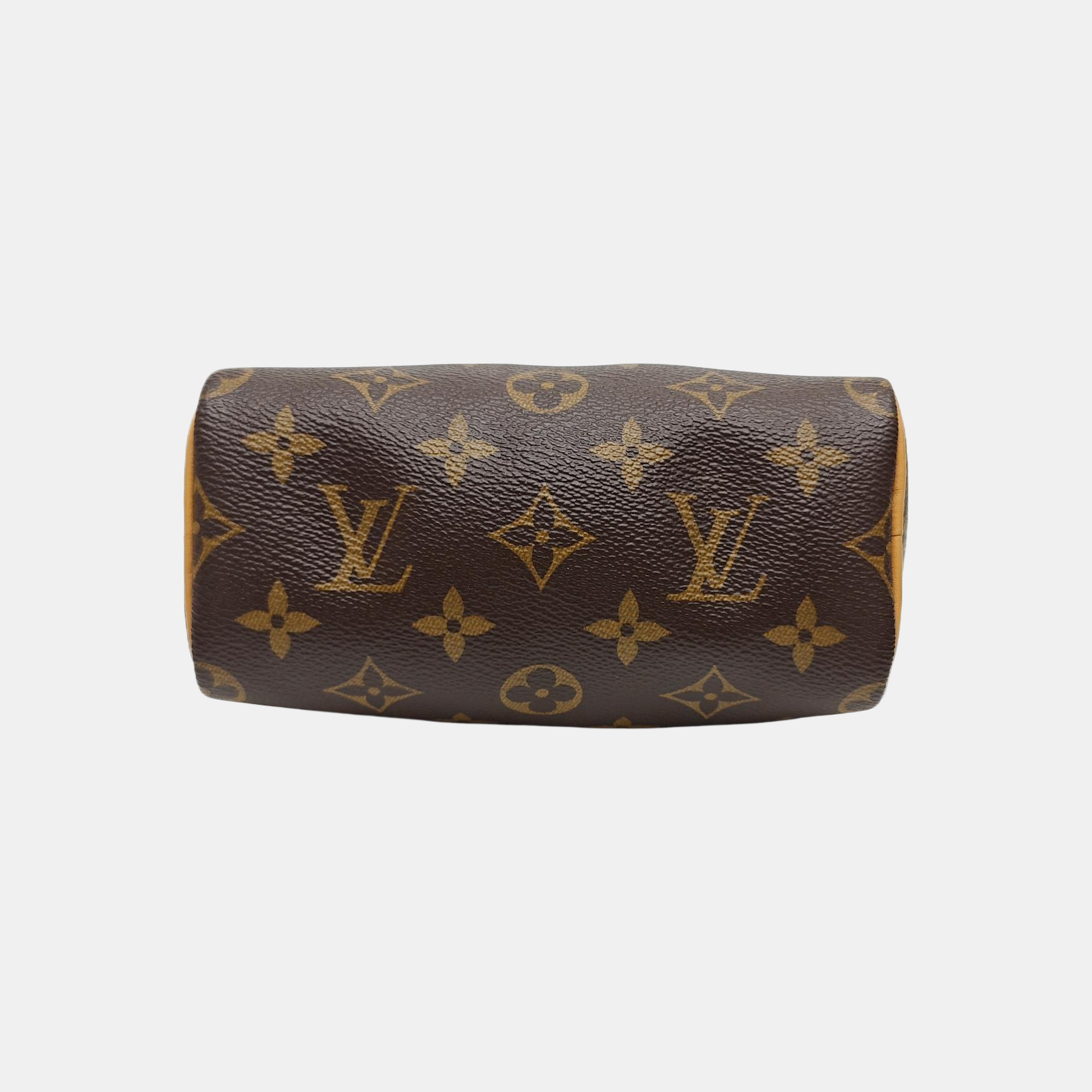 SPEEDY Nano Monogram Coated Canvas Brown