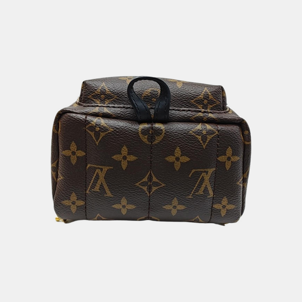 PALM SPRINGS Mini Monogram Coated Canvas Brown