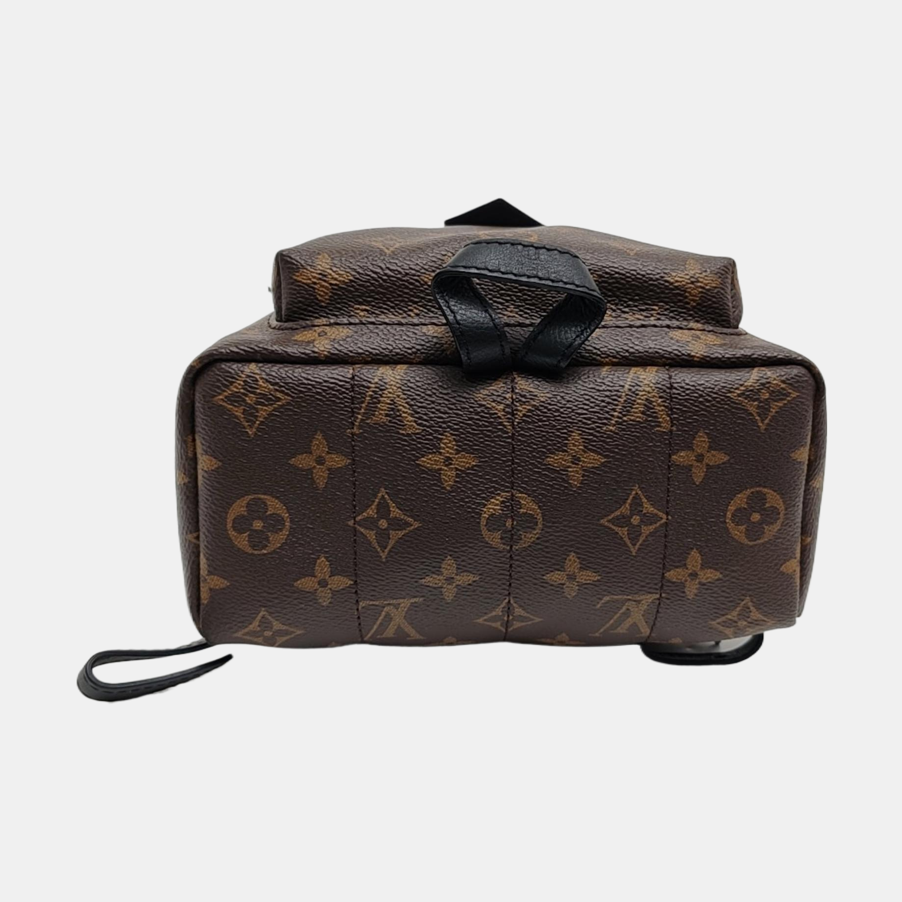 PALM SPRINGS PM Monogram Coated Canvas Brown