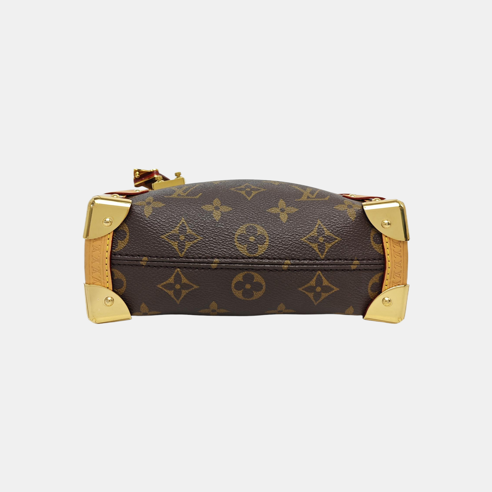 SIDE TRUNK PM Monogram Coated Canvas Brown