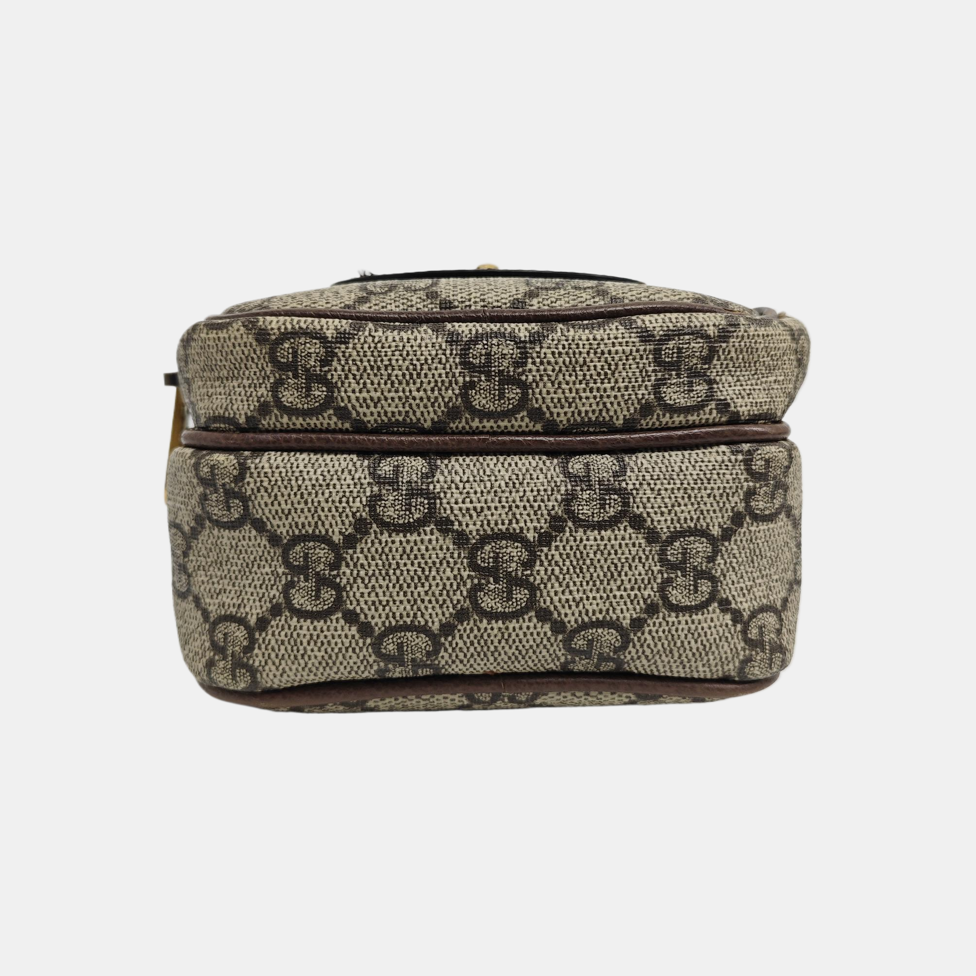 Neo Vintage Mini Monogram Coated Canvas Brown