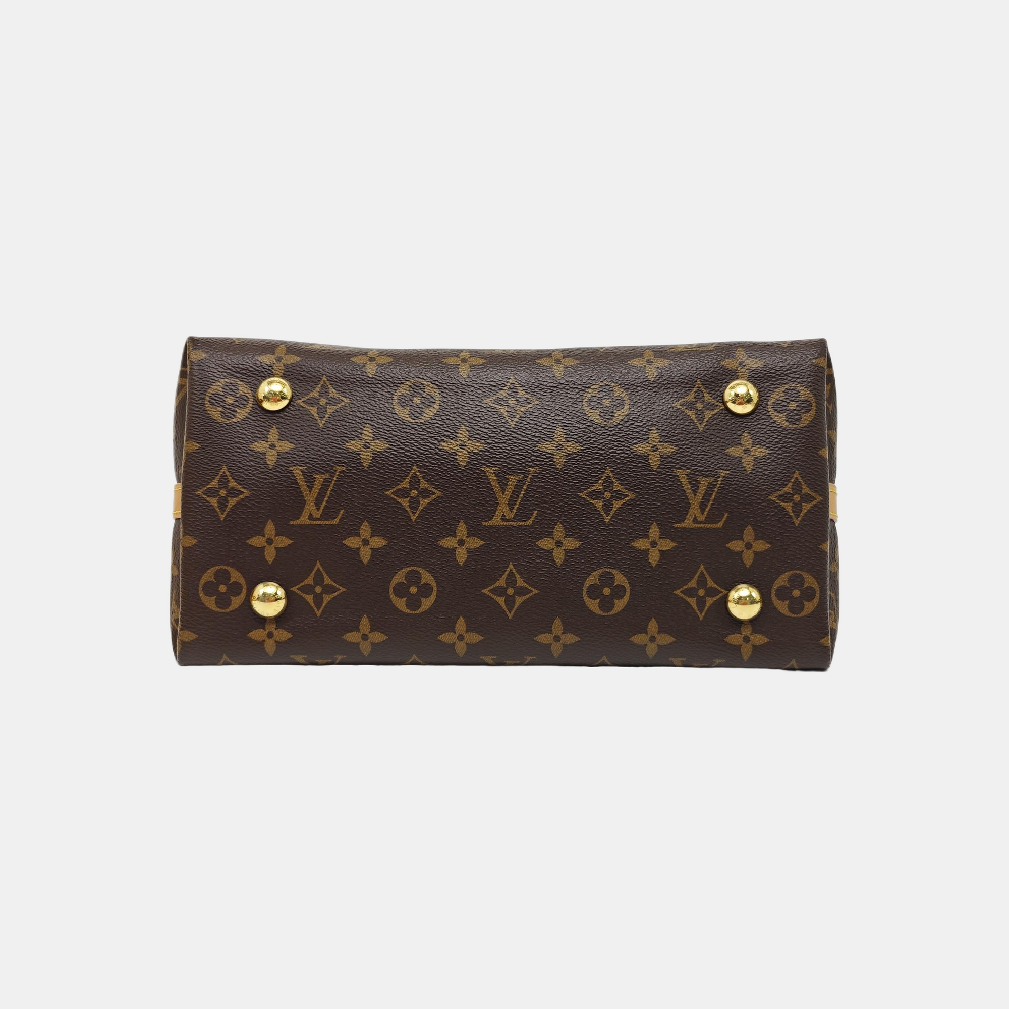 CARRYALL PM Monogram Coated Canvas Brown