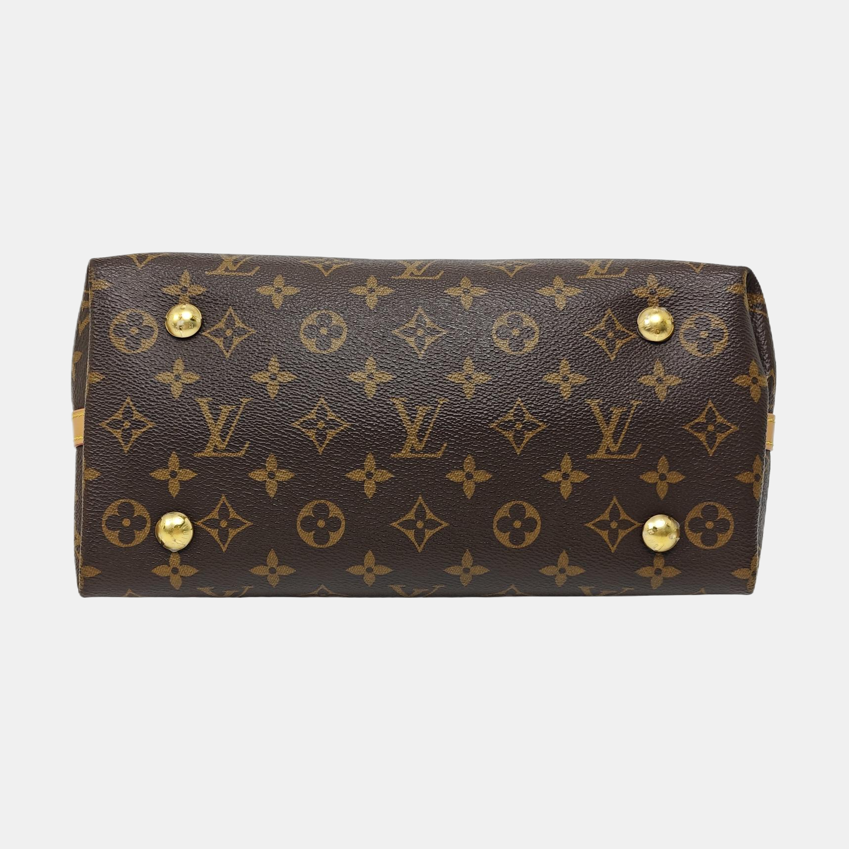 CARRYALL PM Monogram Coated Canvas Brown