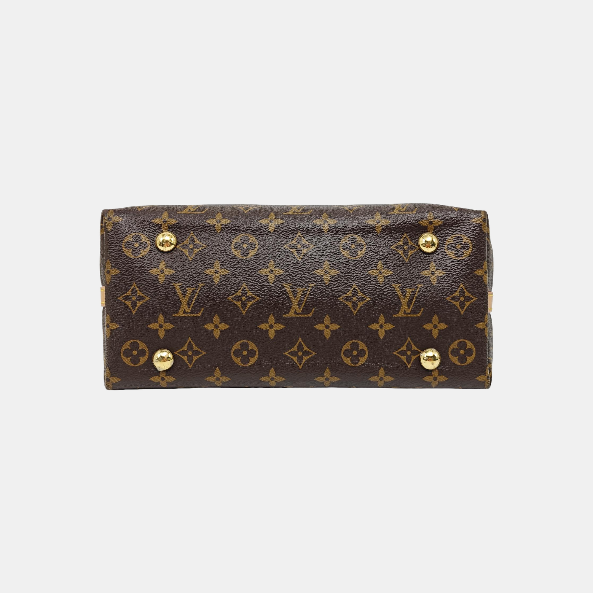 CARRYALL PM Monogram Coated Canvas Brown