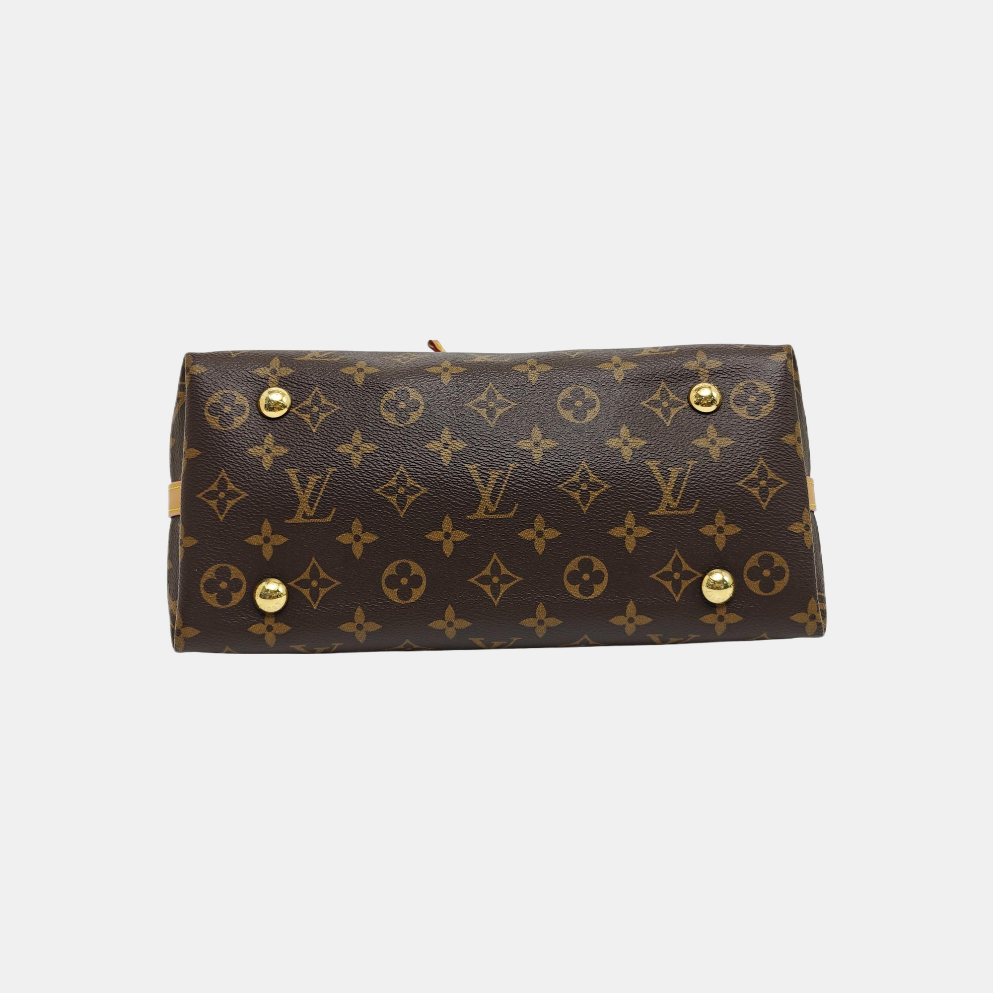 CARRYALL PM Monogram Coated Canvas Brown
