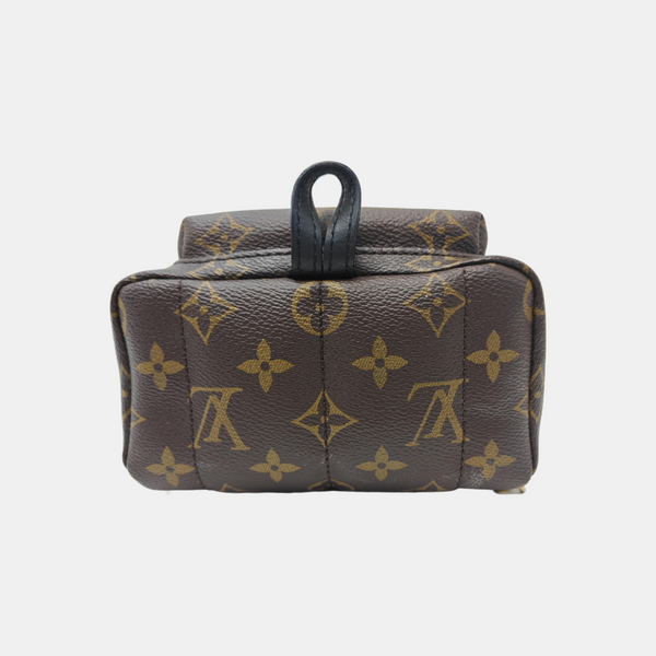 PALM SPRINGS Mini Monogram Coated Canvas Brown