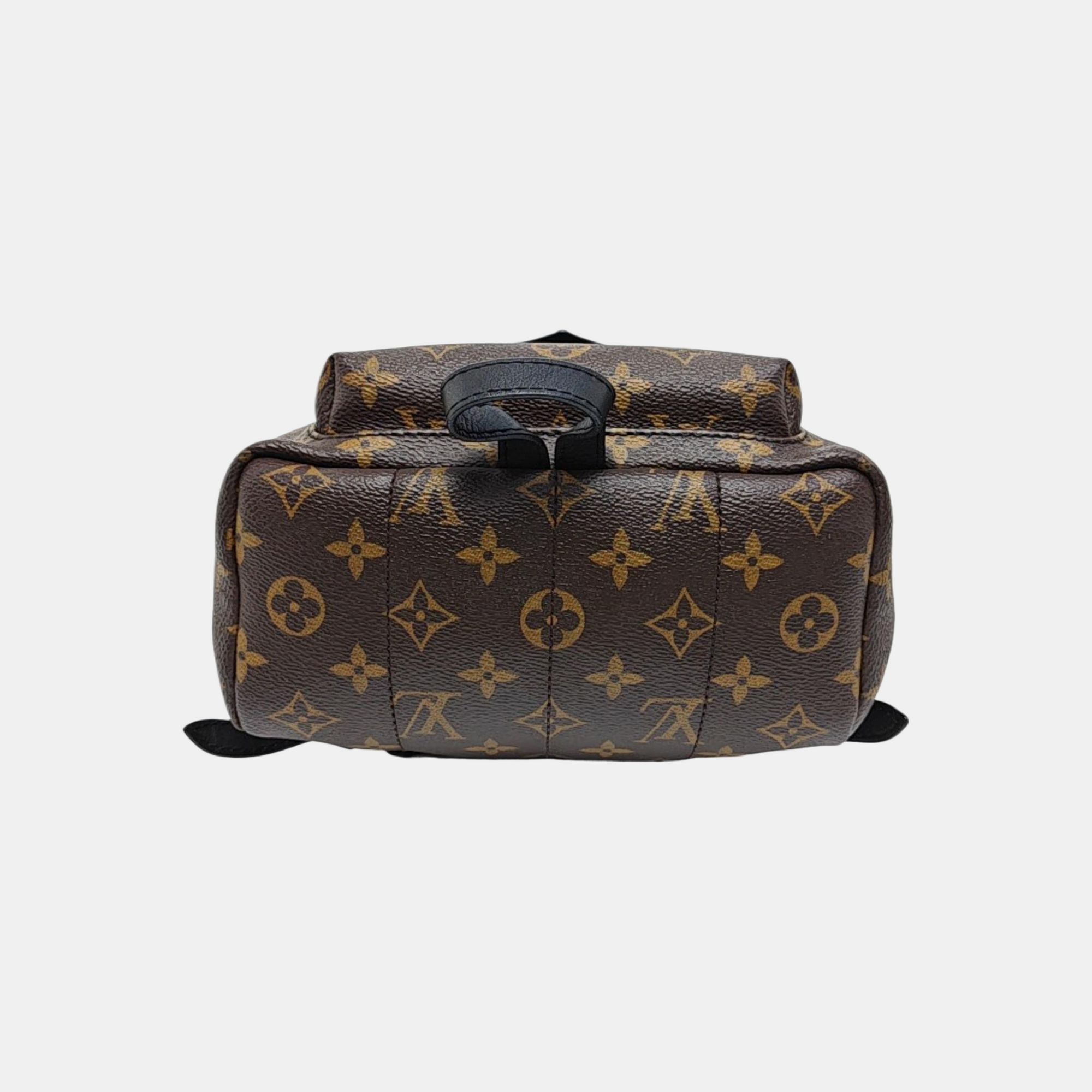 PALM SPRINGS PM Monogram Coated Canvas Brown