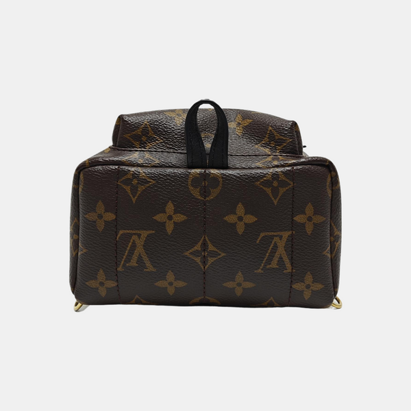 PALM SPRINGS Mini Monogram Coated Canvas Brown